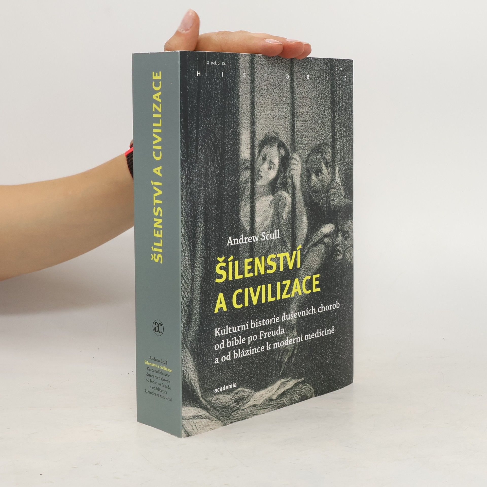 Andrew T. Scull Šílenství a civilizace