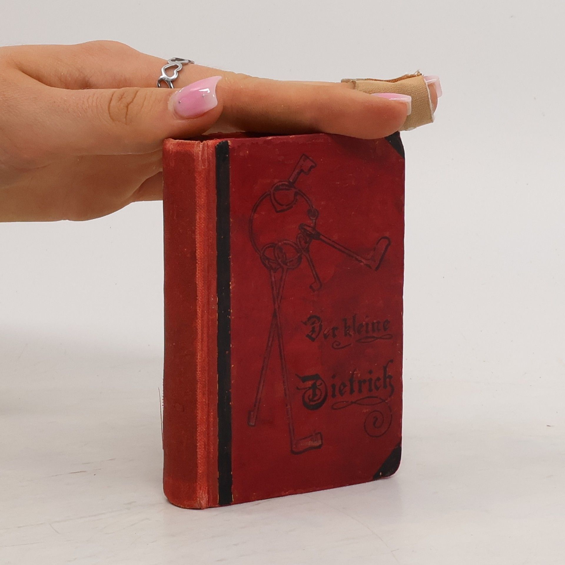 Johanna von Sydow Der kleine Dietrich oder das Buch der Hausfrau mit Schlüsselkorb