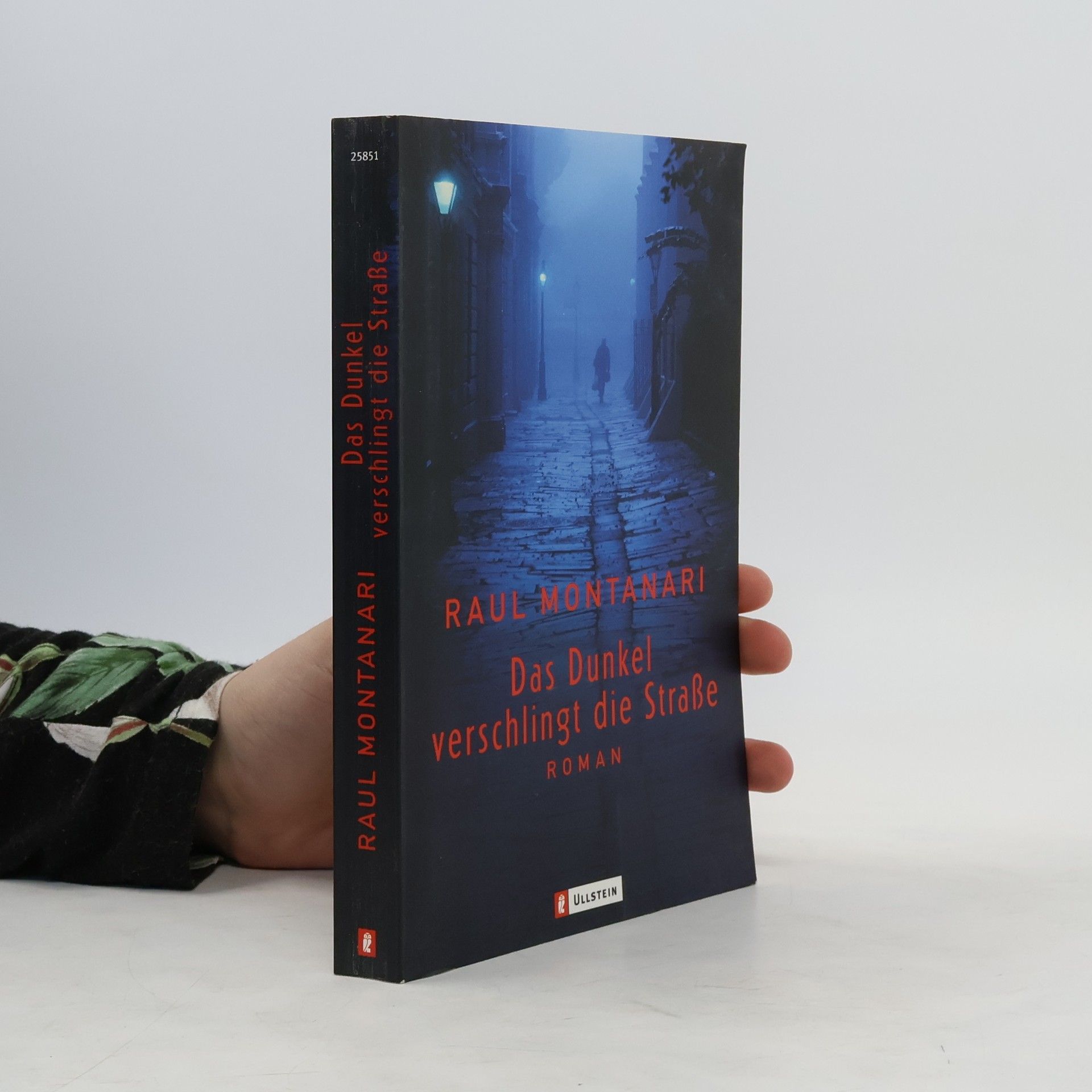 Raul Montanari Das Dunkel verschlingt die Strasse