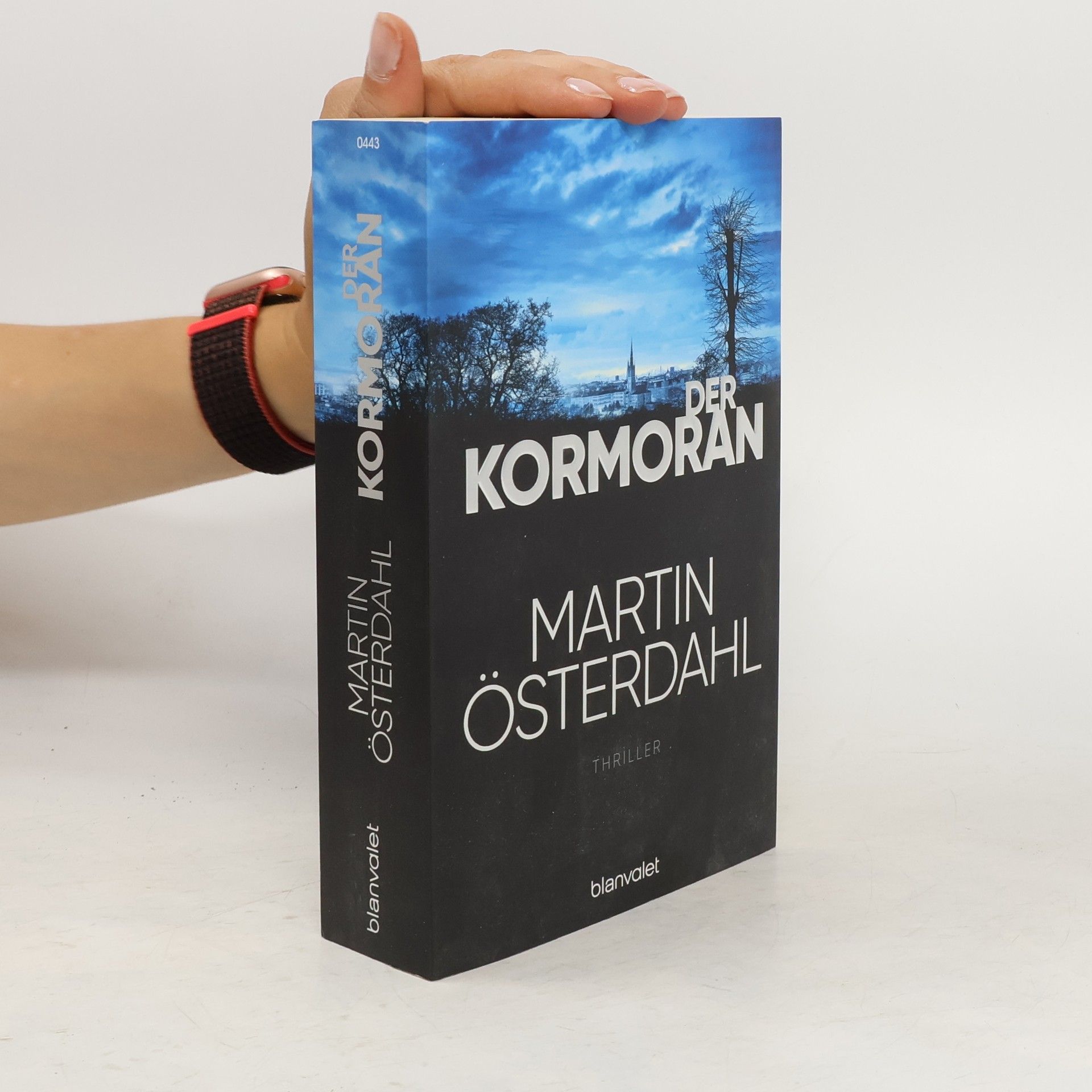 Martin Österdahl Der Kormoran