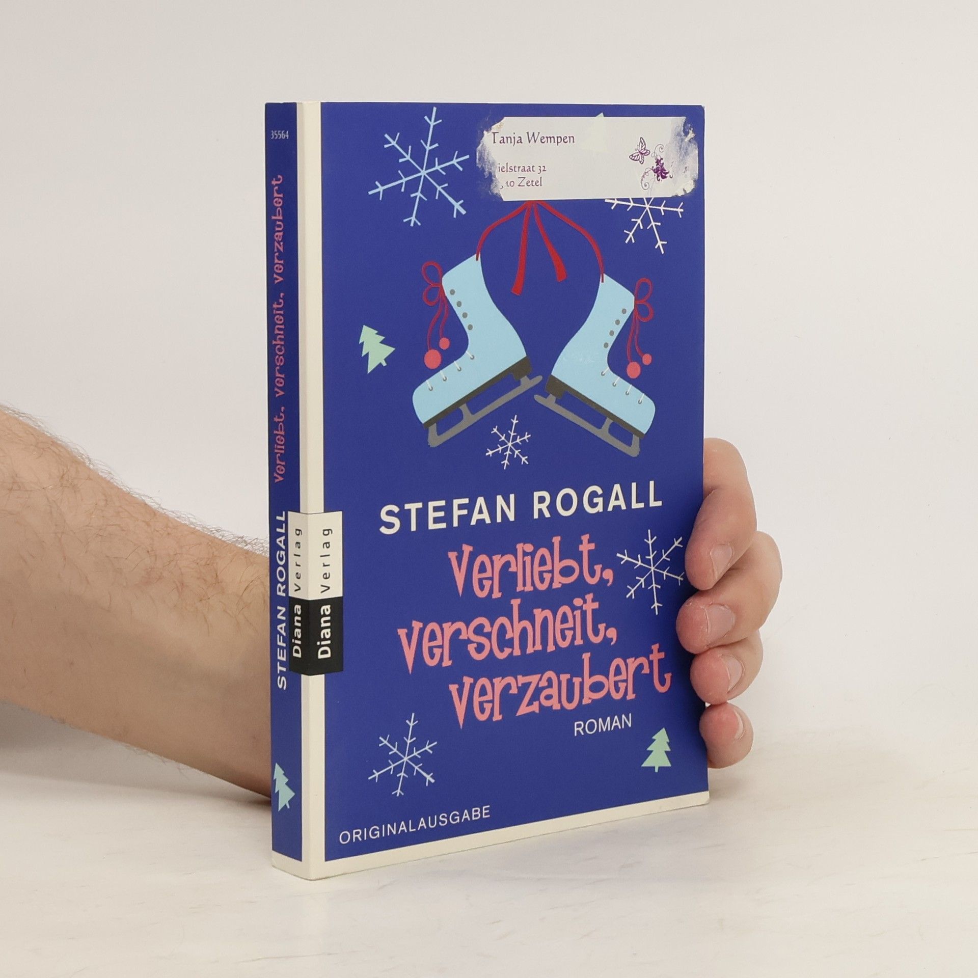 Stefan Rogall Verliebt, verschneit, verzaubert. Roman