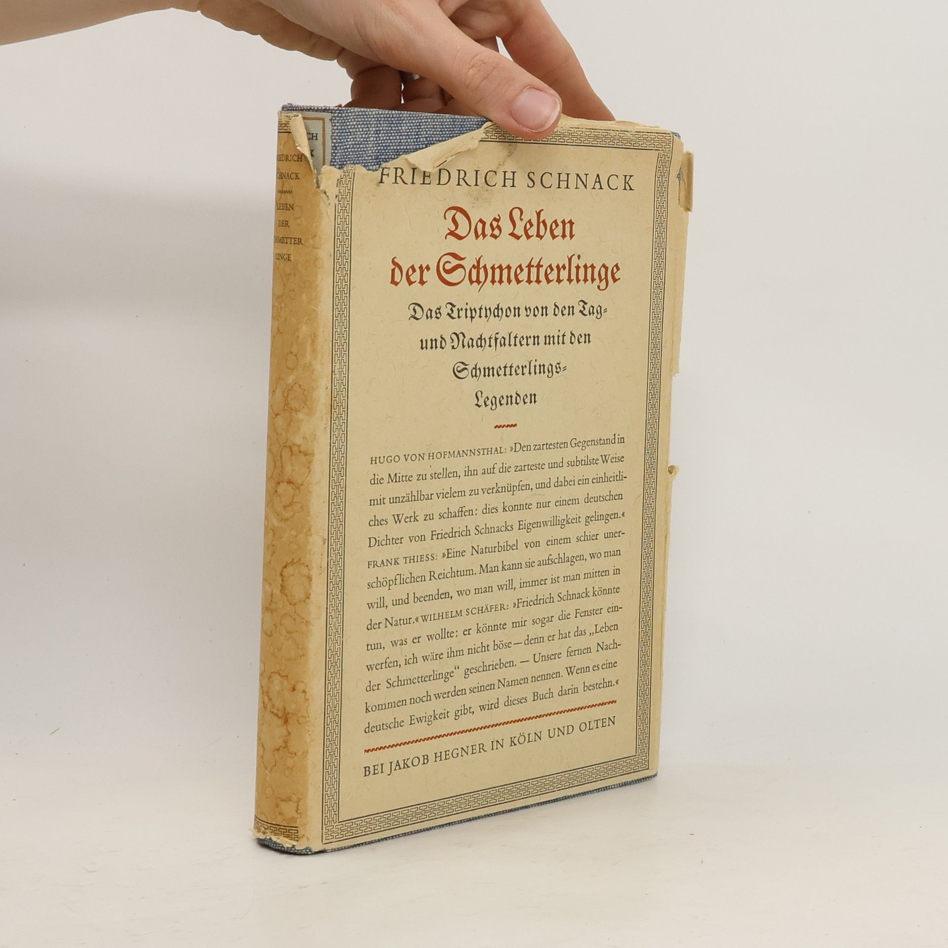 Friedrich Schnack Das Leben der Schmetterlinge