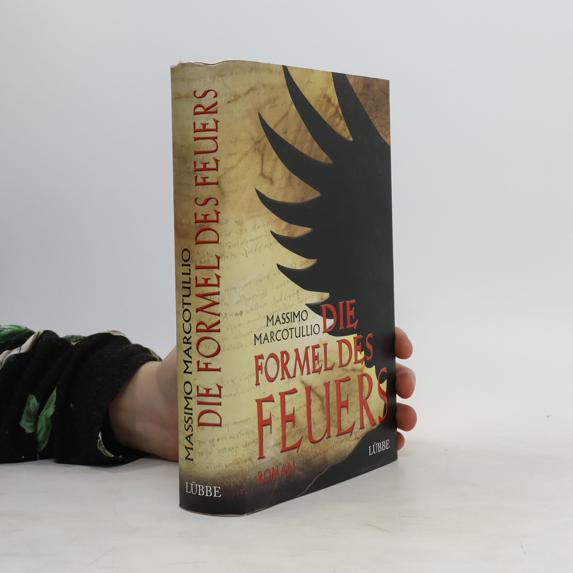 Massimo Marcotullio Die Formel des Feuers