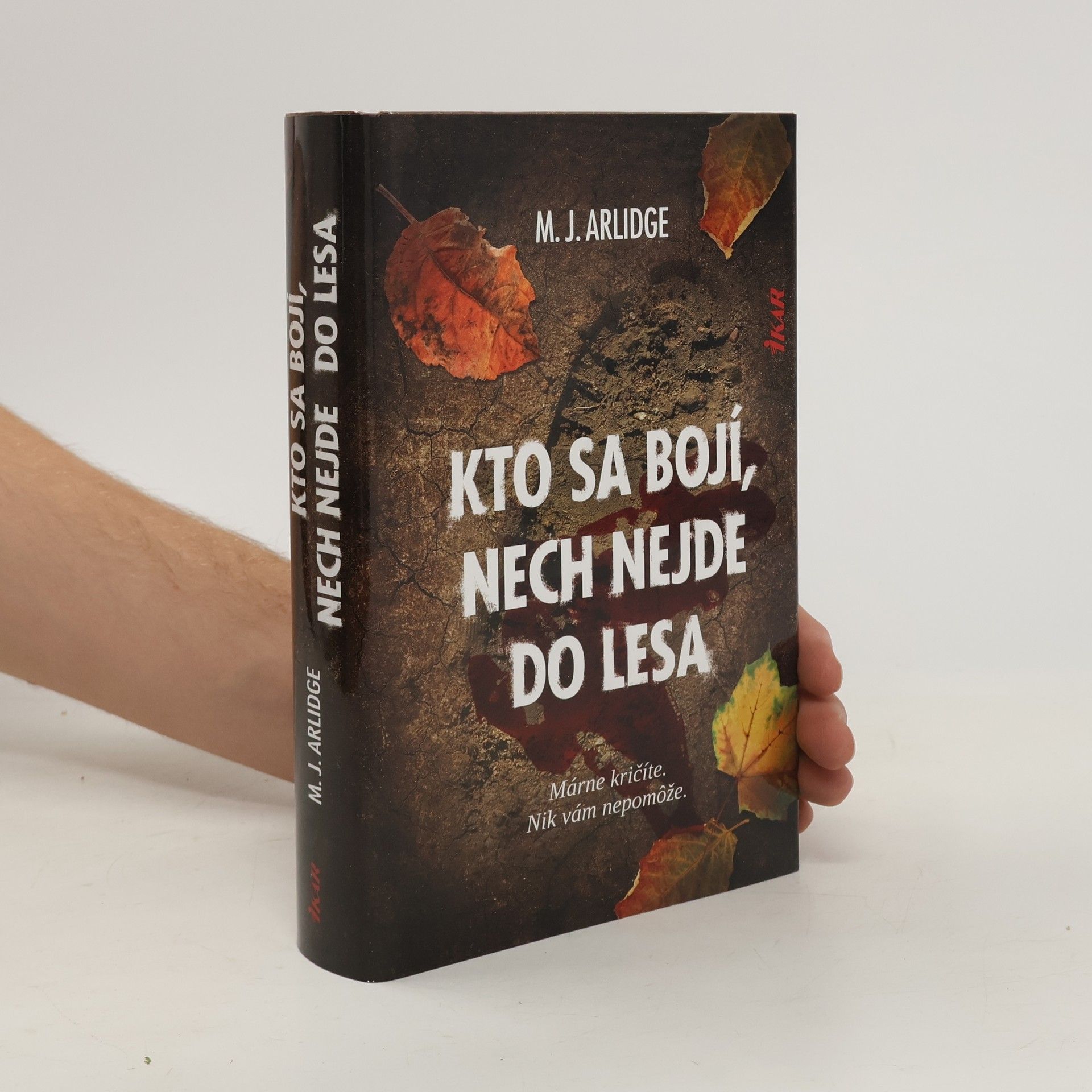 M. J. Arlidge Kto sa bojí, nech nejde do lesa