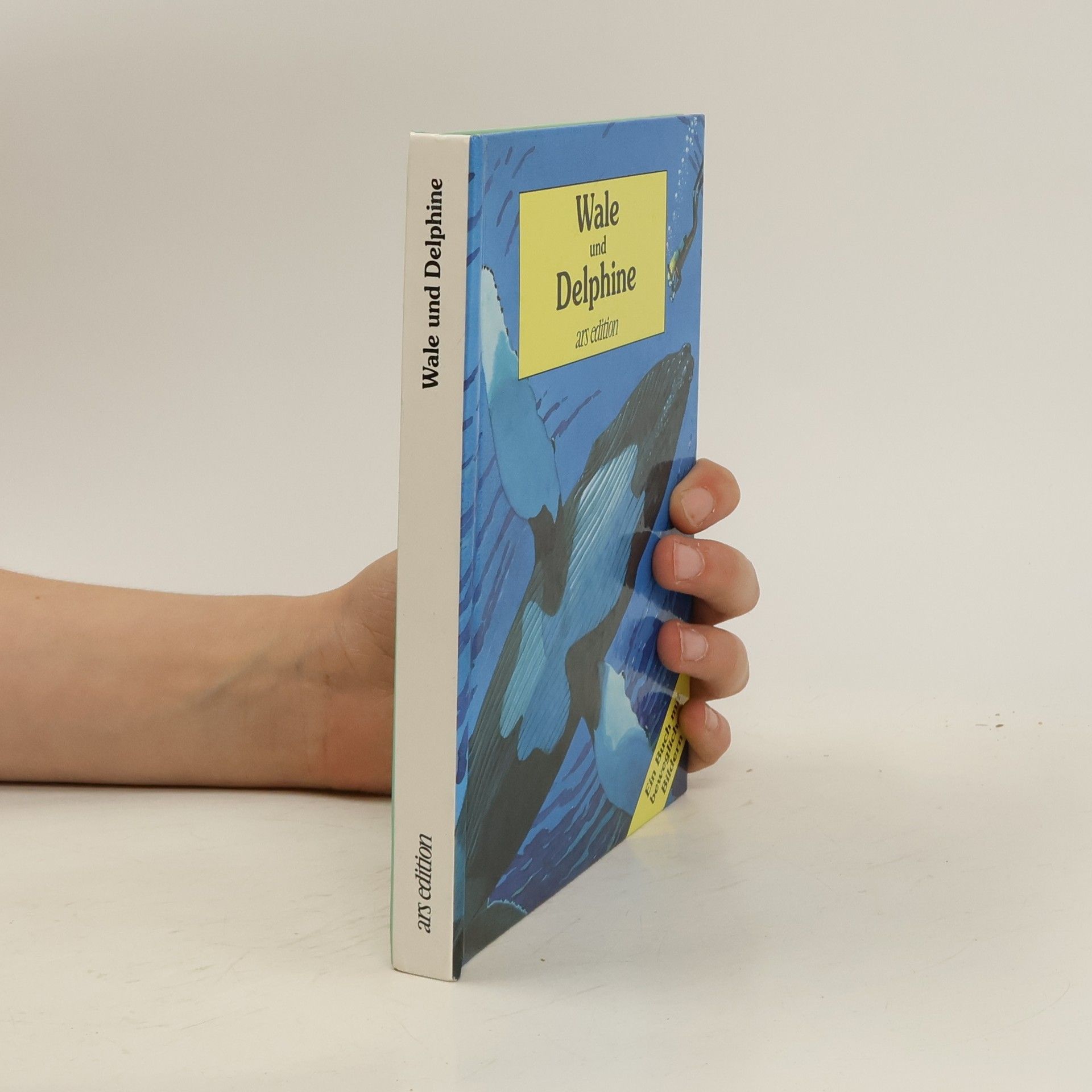 Tanner Ottley Gay Wale und Delphine. Ein Buch mit beweglichen Bildern.