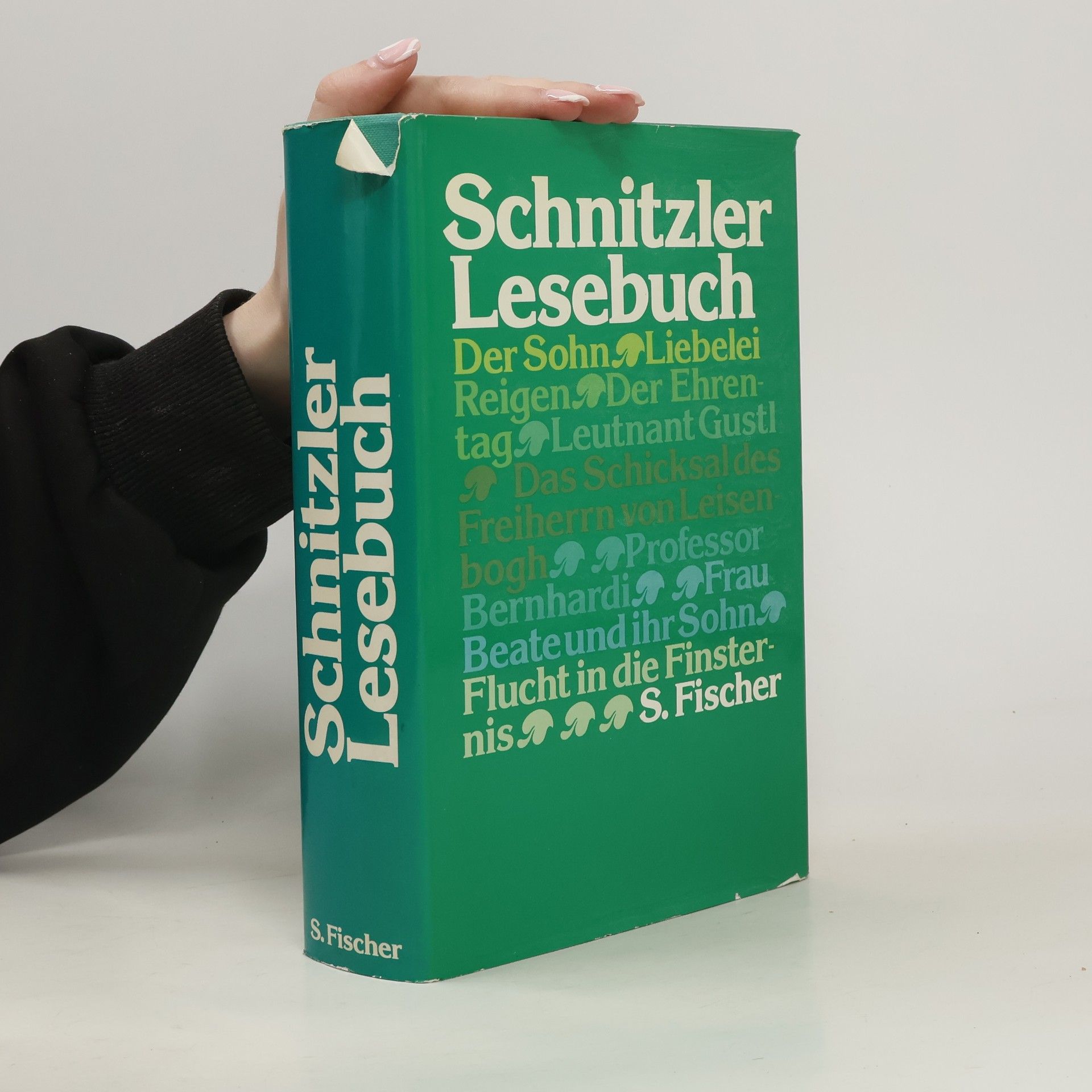 Arthur Schnitzler Lesebuch