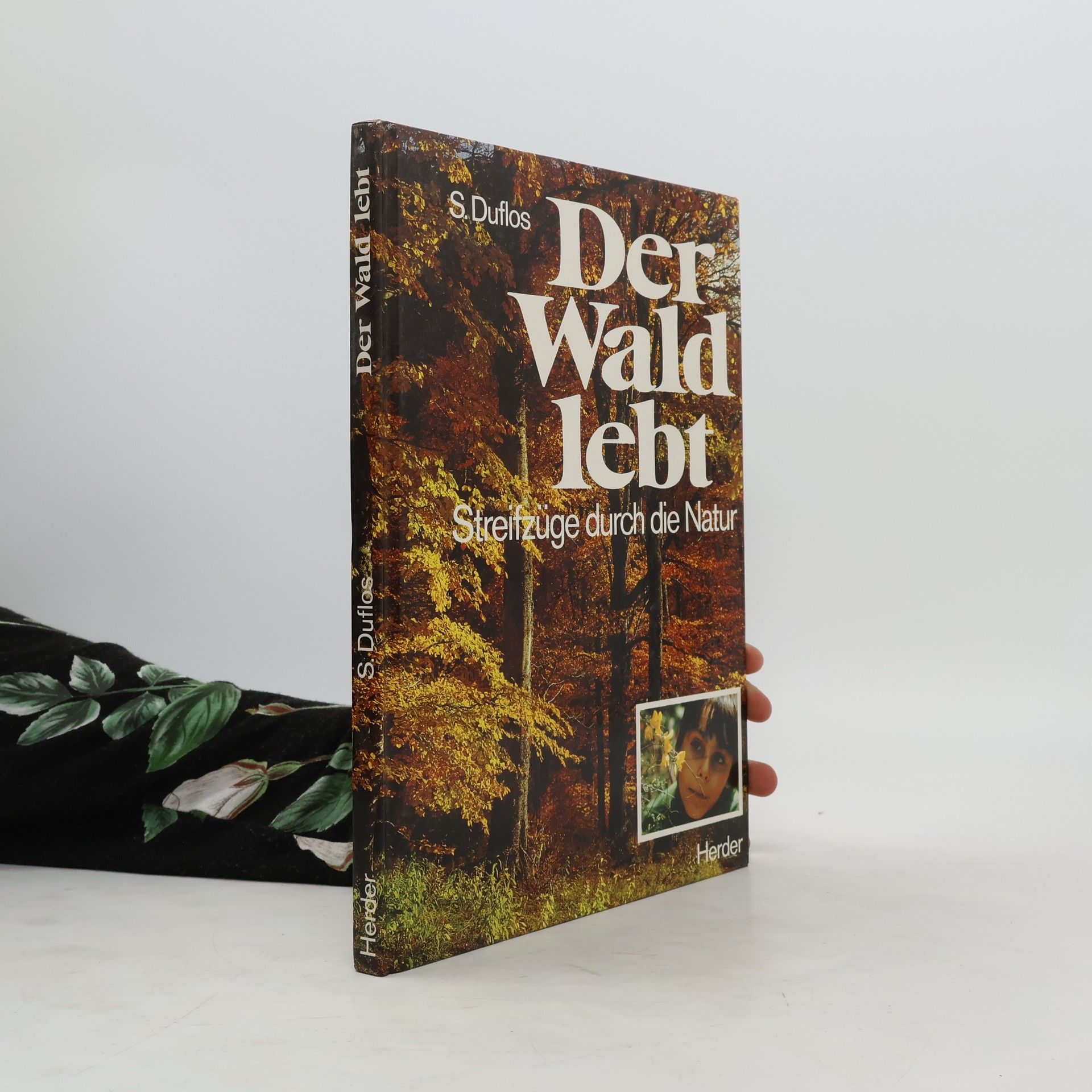 Solange Duflos Der Wald lebt