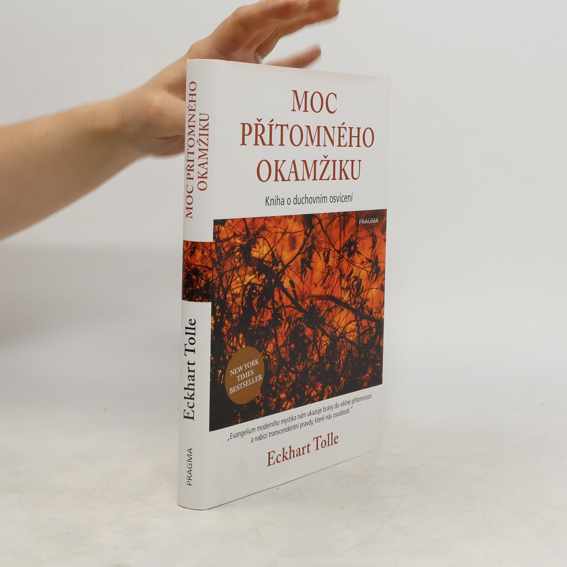 Eckhart Tolle Moc přítomného okamžiku