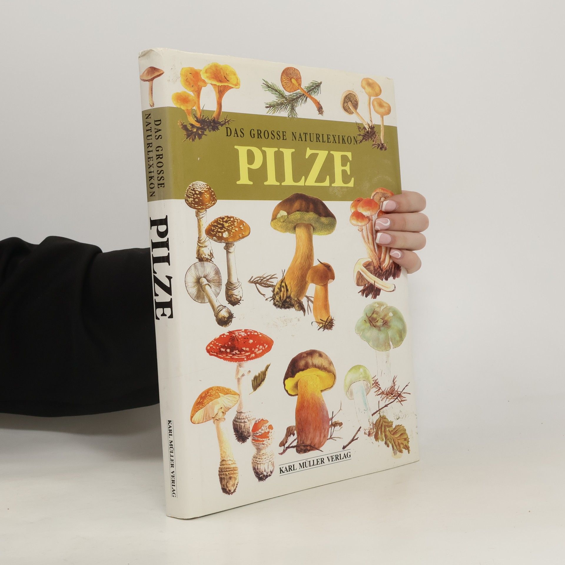 Collectif d'auteurs Das grosse Naturlexikon Pilze
