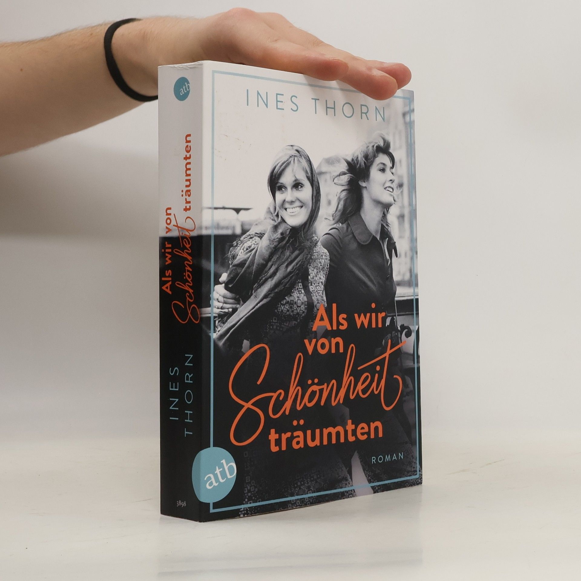 Ines Thorn Als wir von Schönheit träumten