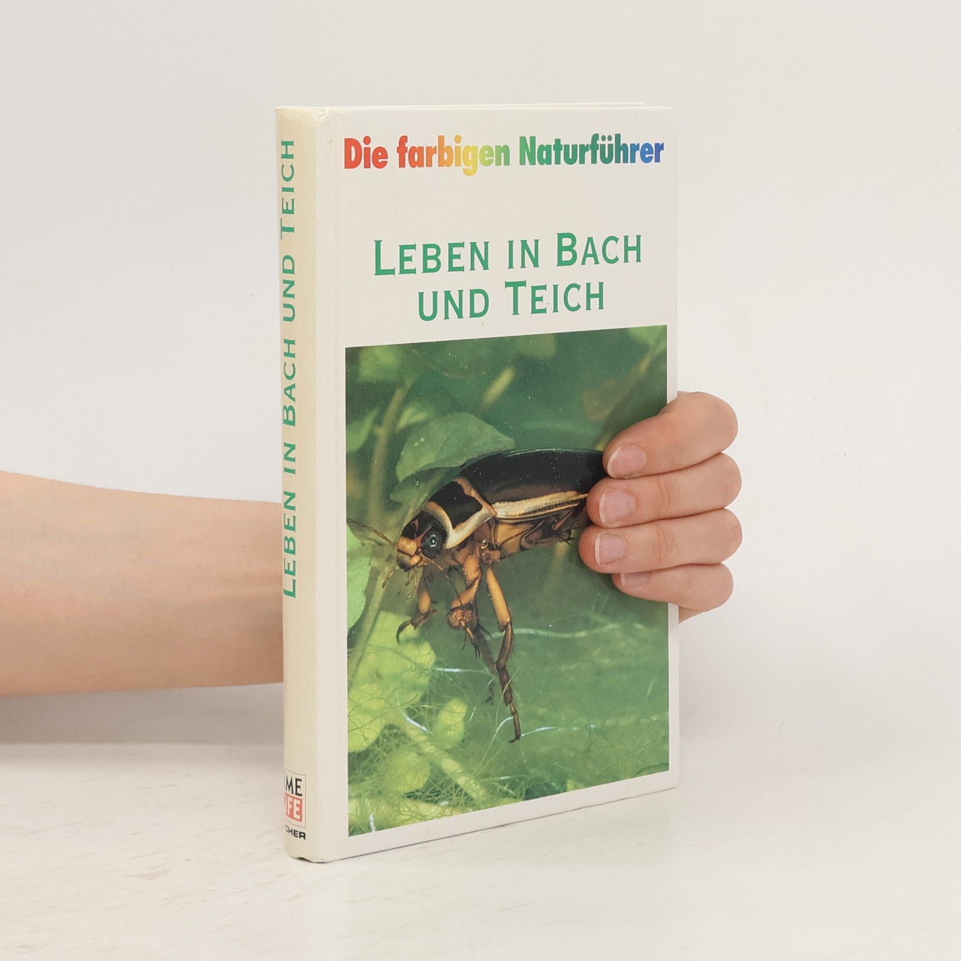 Autorenkollektiv Leben in Bach und Teich