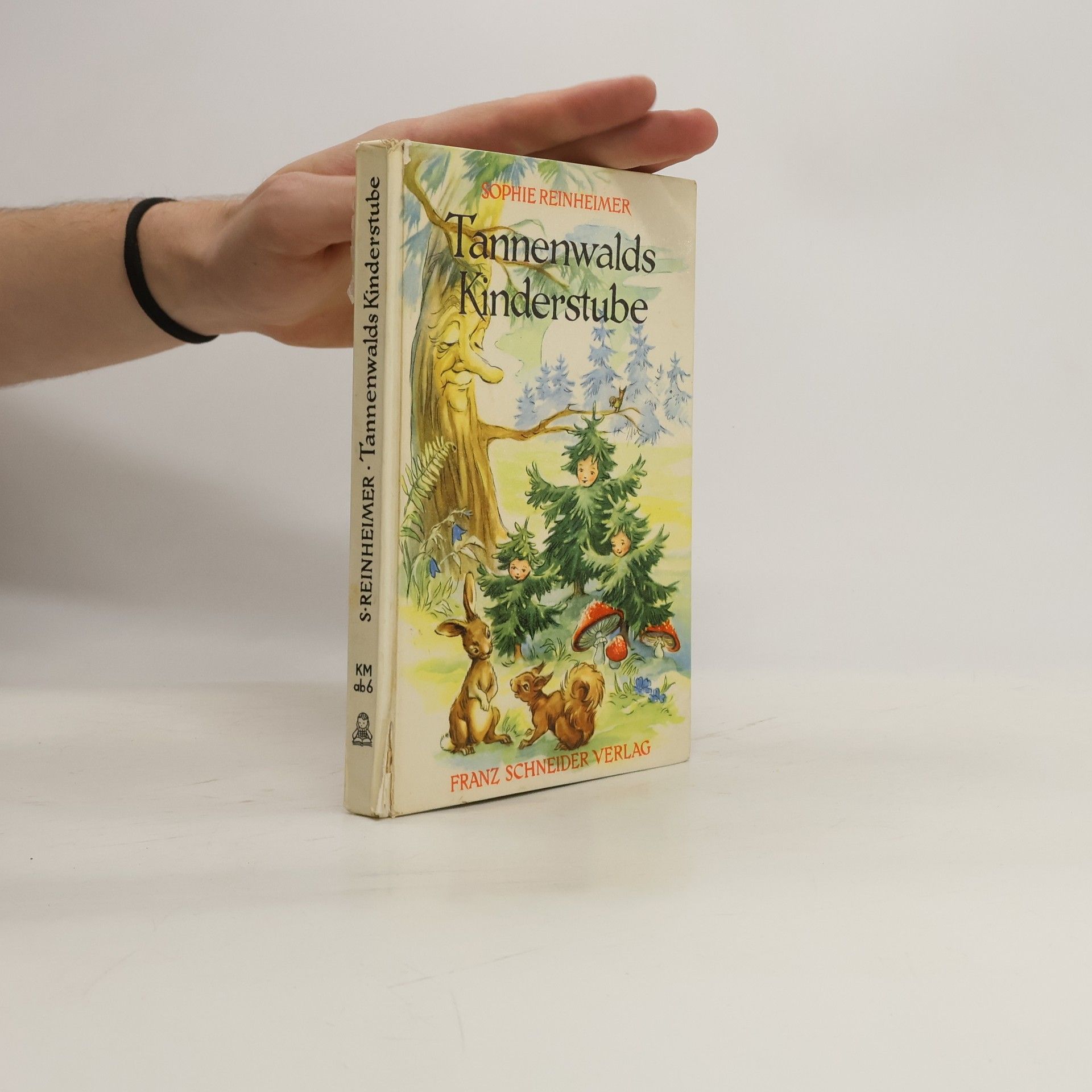 Sophie Reinheimer Tannenwalds Kinderstube