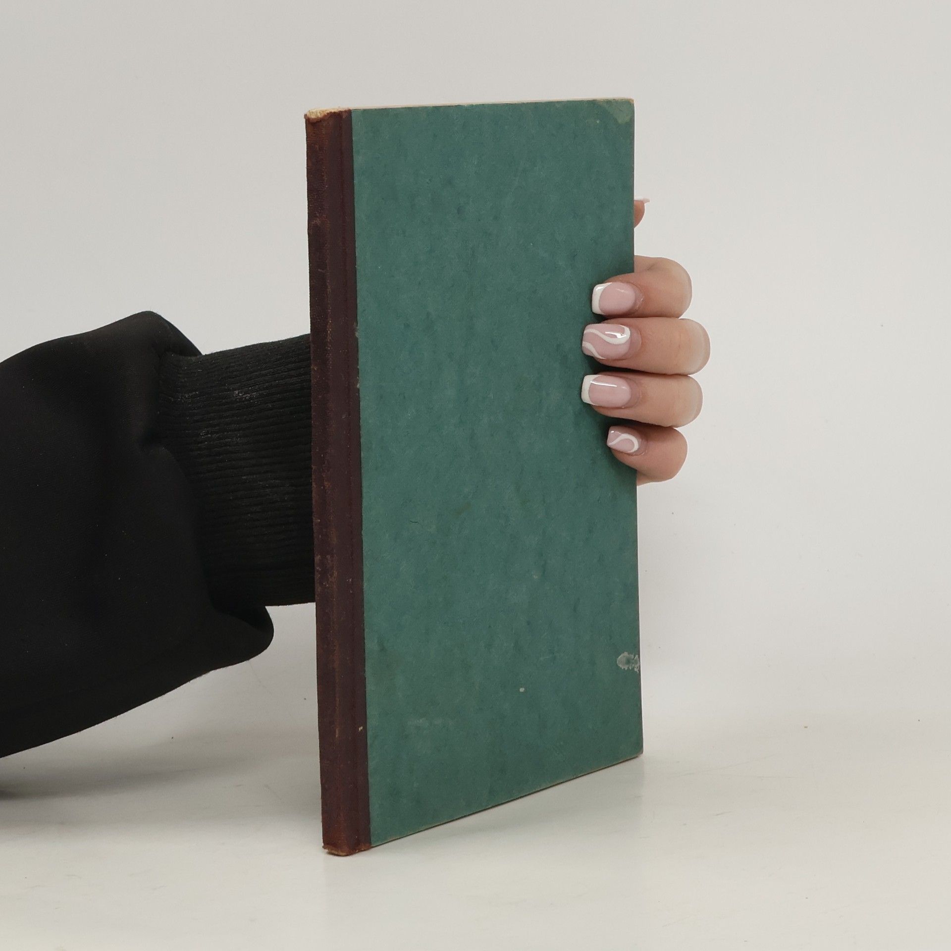 Edgar Wenrich Wien geschildert von Künstlern der Feder und des Stiftes