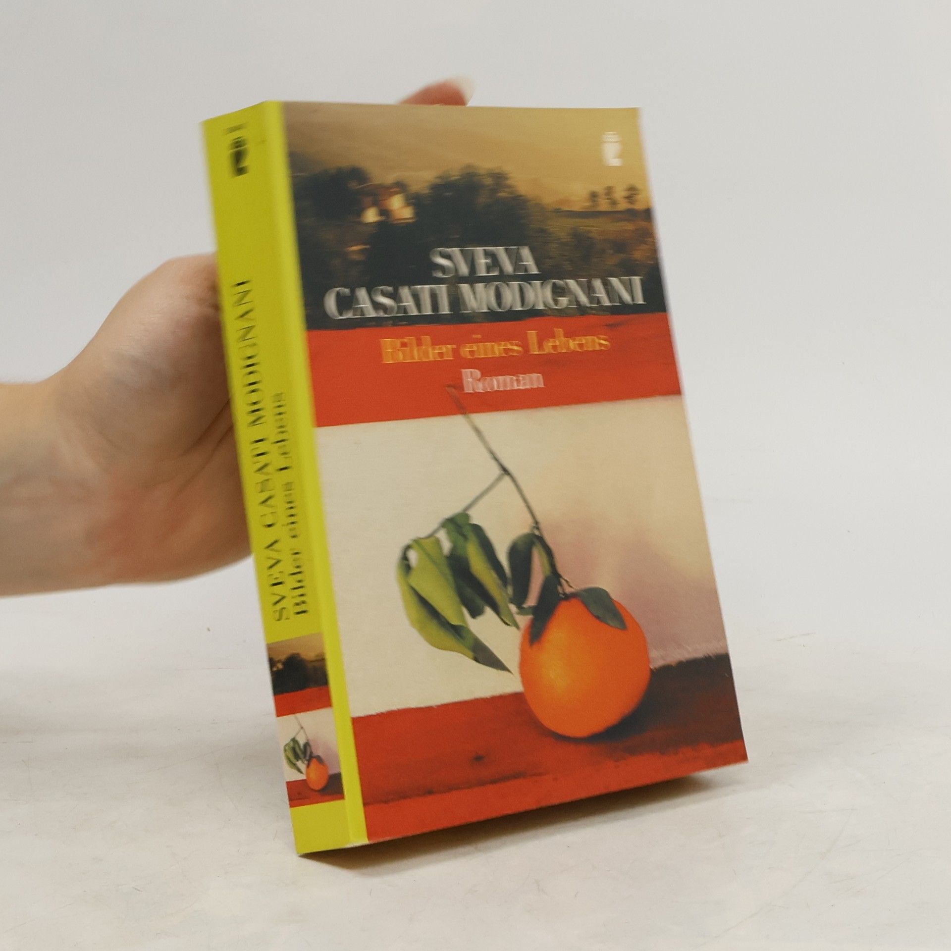 Sveva Casati Modignani Bilder eines Lebens