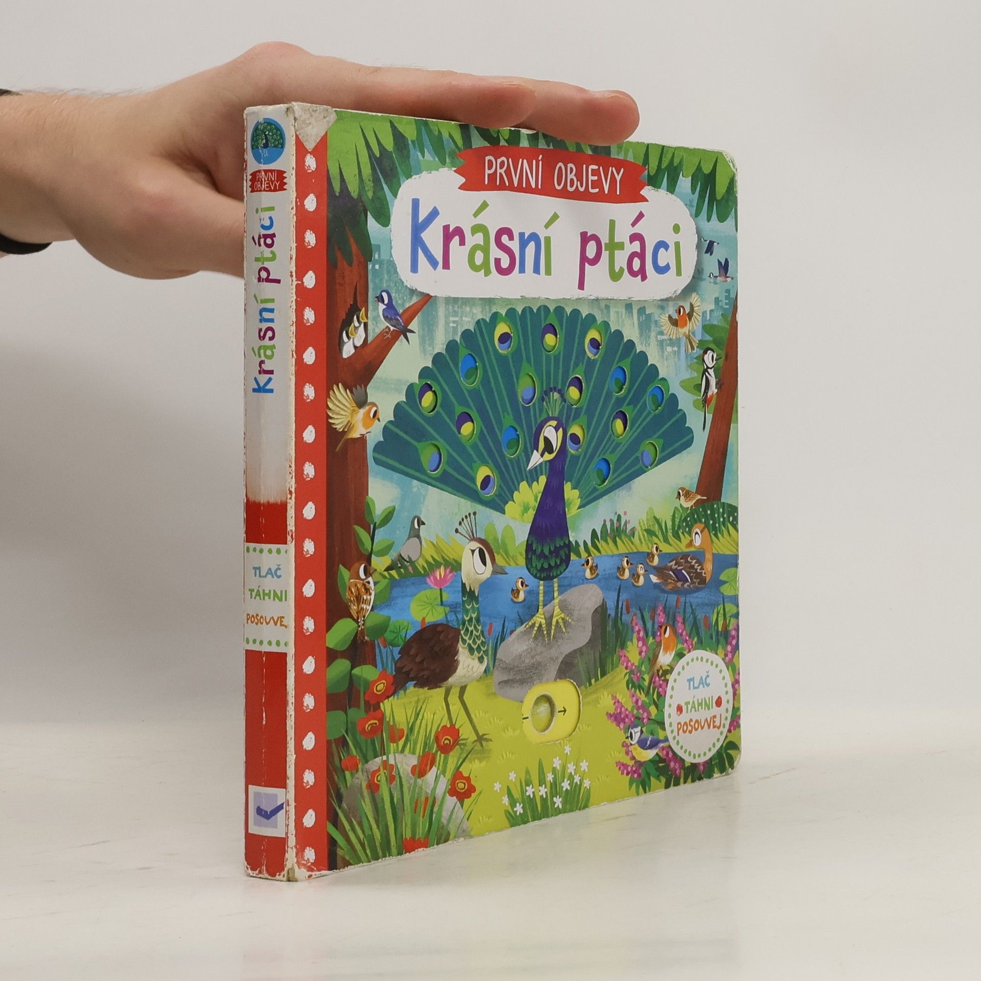 Chorkung První objevy: Krásní ptáci