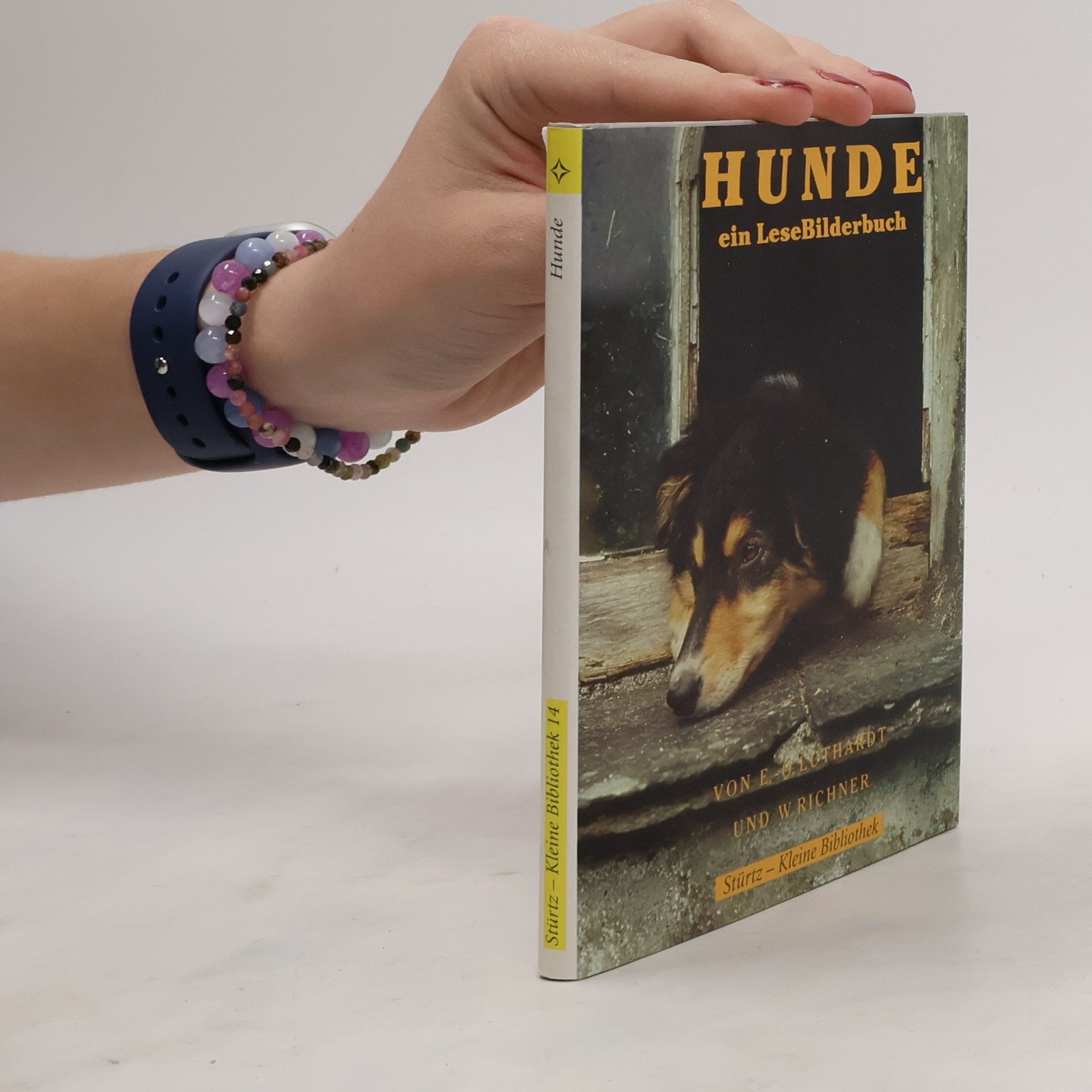 Autorenkollektiv Hunde