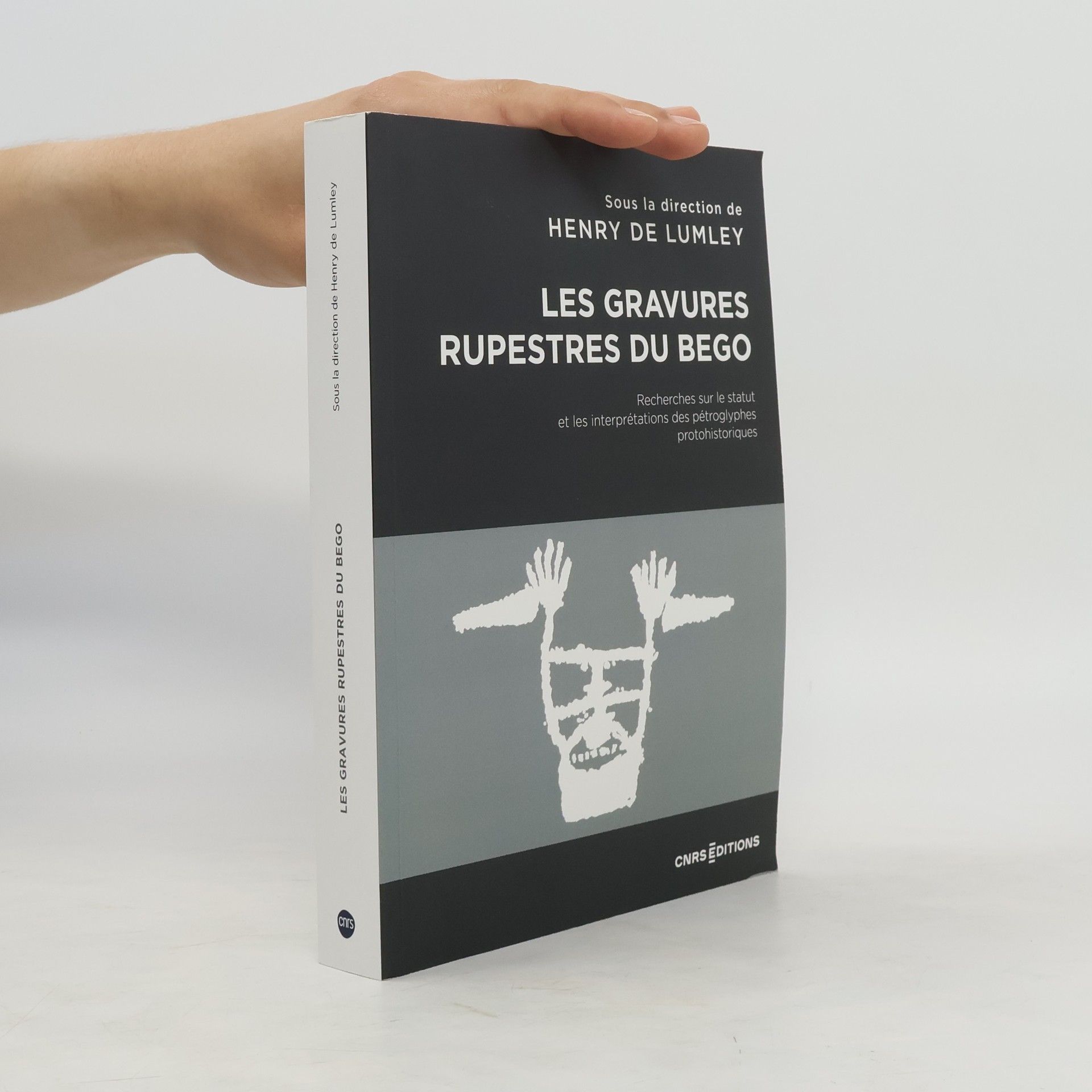 Henry de Lumley Les gravures rupestres du Bego