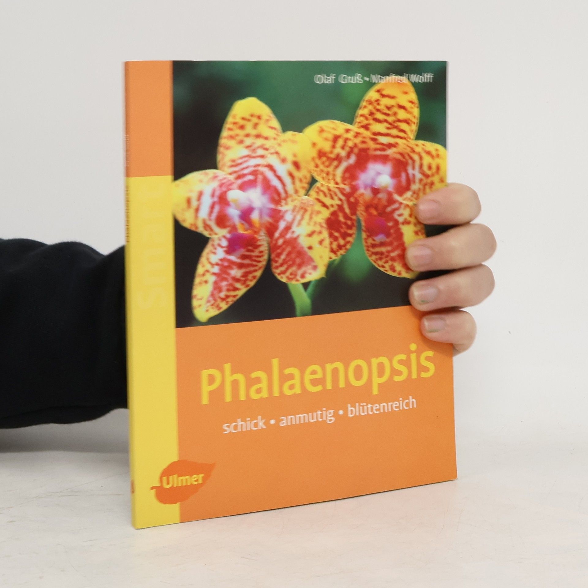Olaf Gruß Phalaenopsis