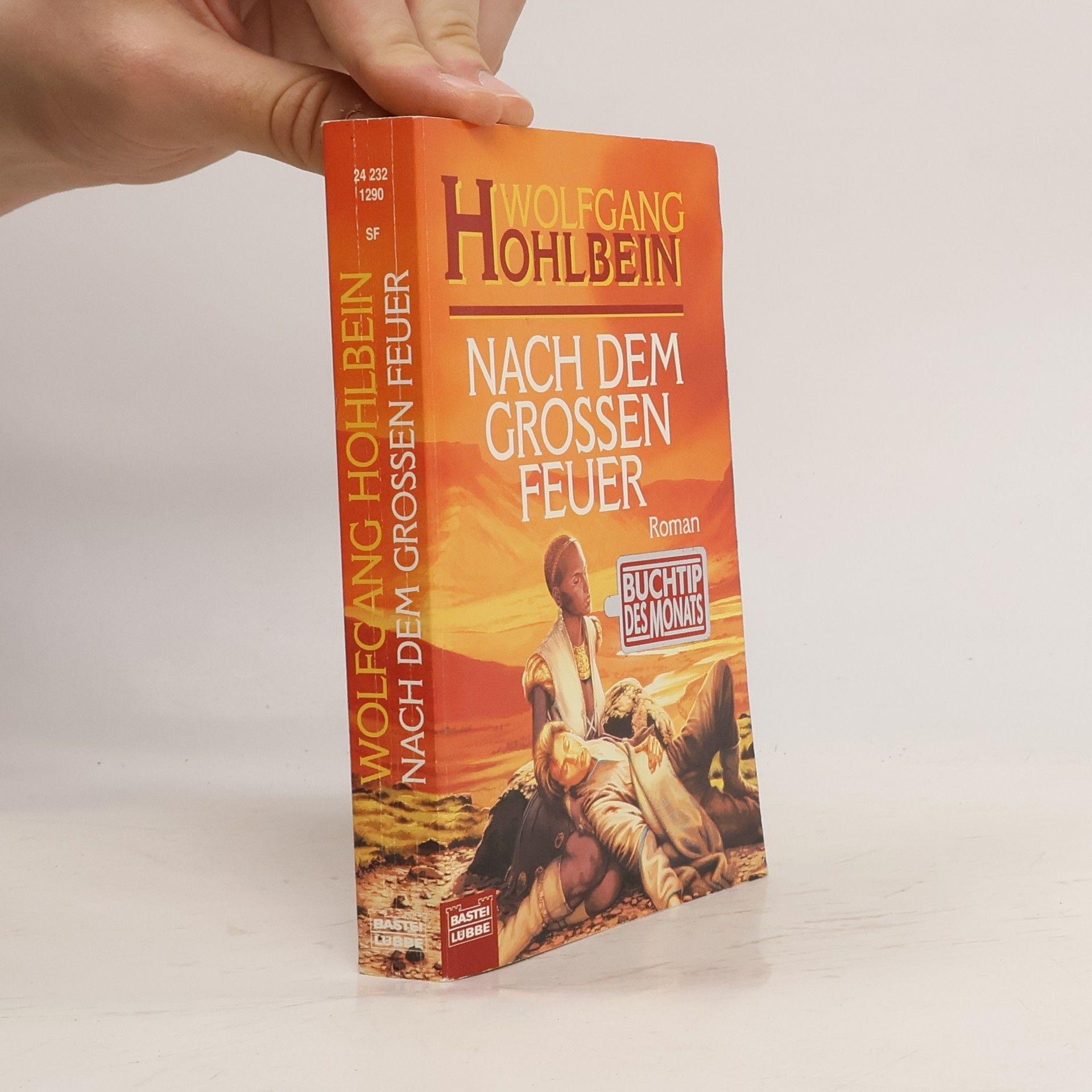 Wolfgang Hohlbein Nach dem grossen Feuer