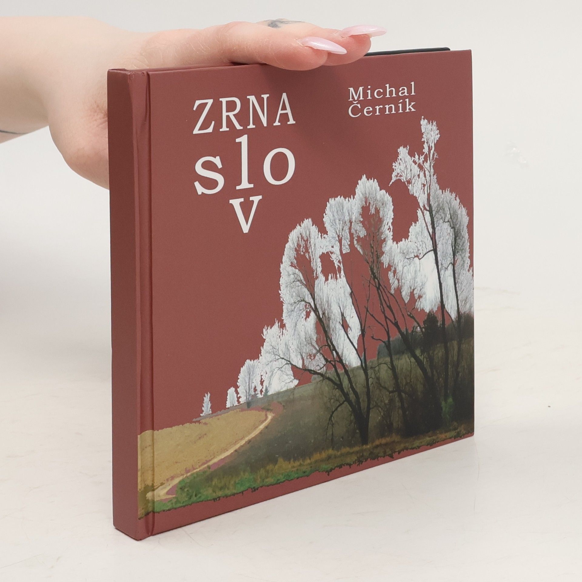 Michal Černík Zrna slov