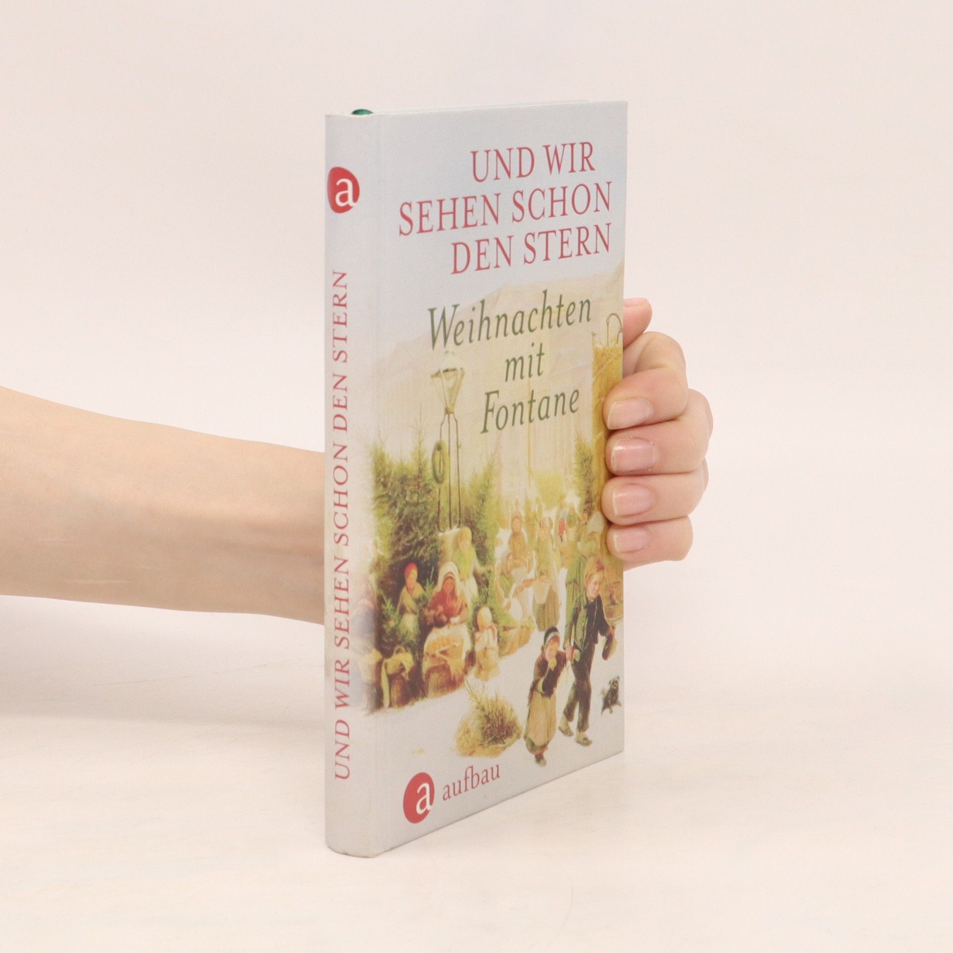 Theodor Fontane Und wir sehen schon den Stern