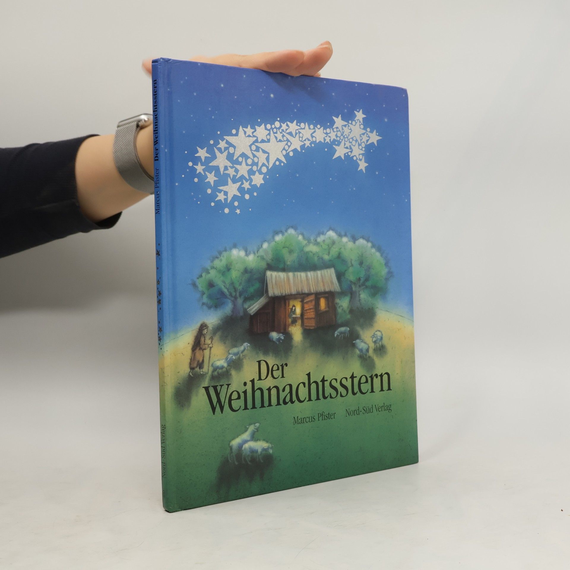 Marcus Pfister Der Weihnachtsstern