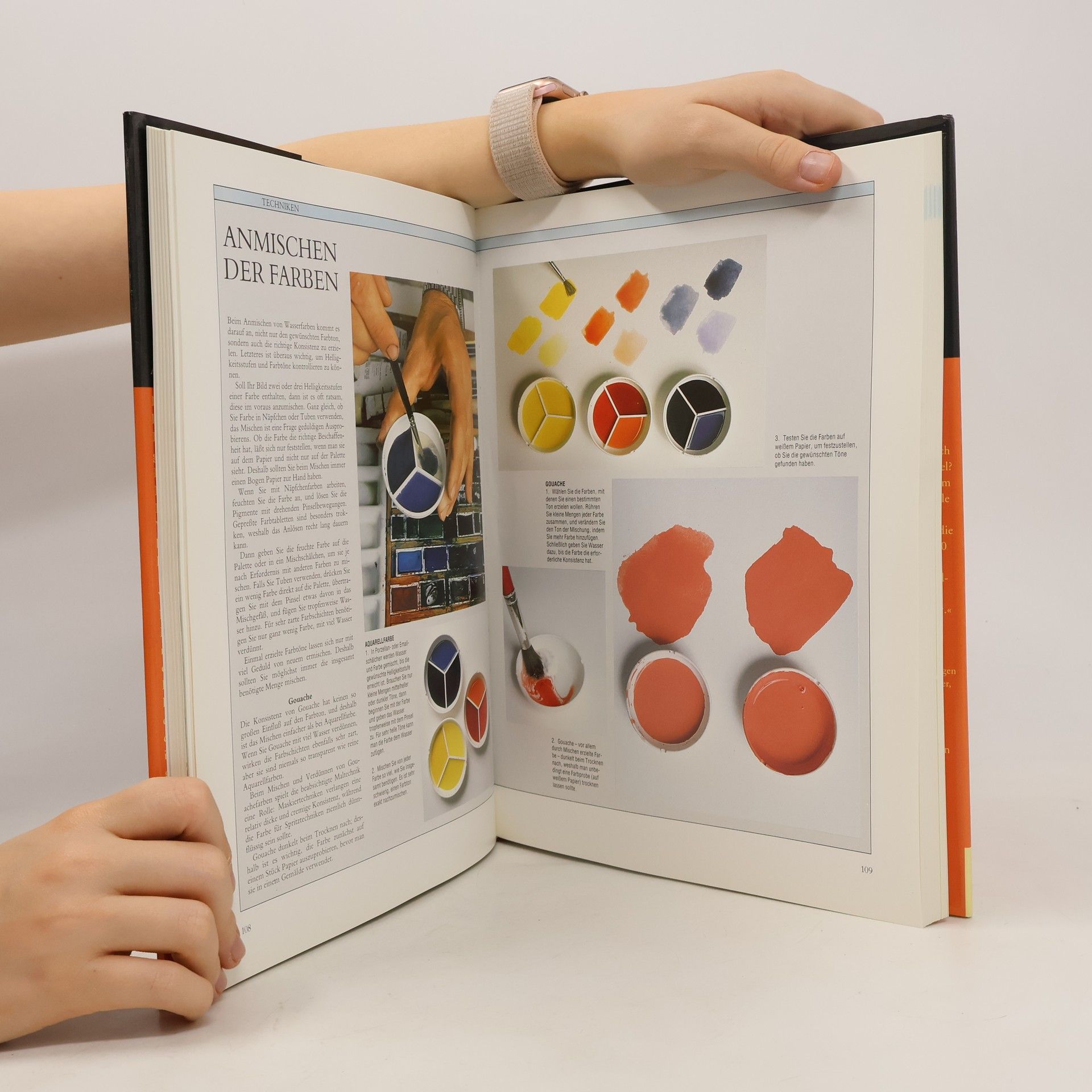 Jenny Rodwell DuMont's grosses Handbuch Aquarellmalerei