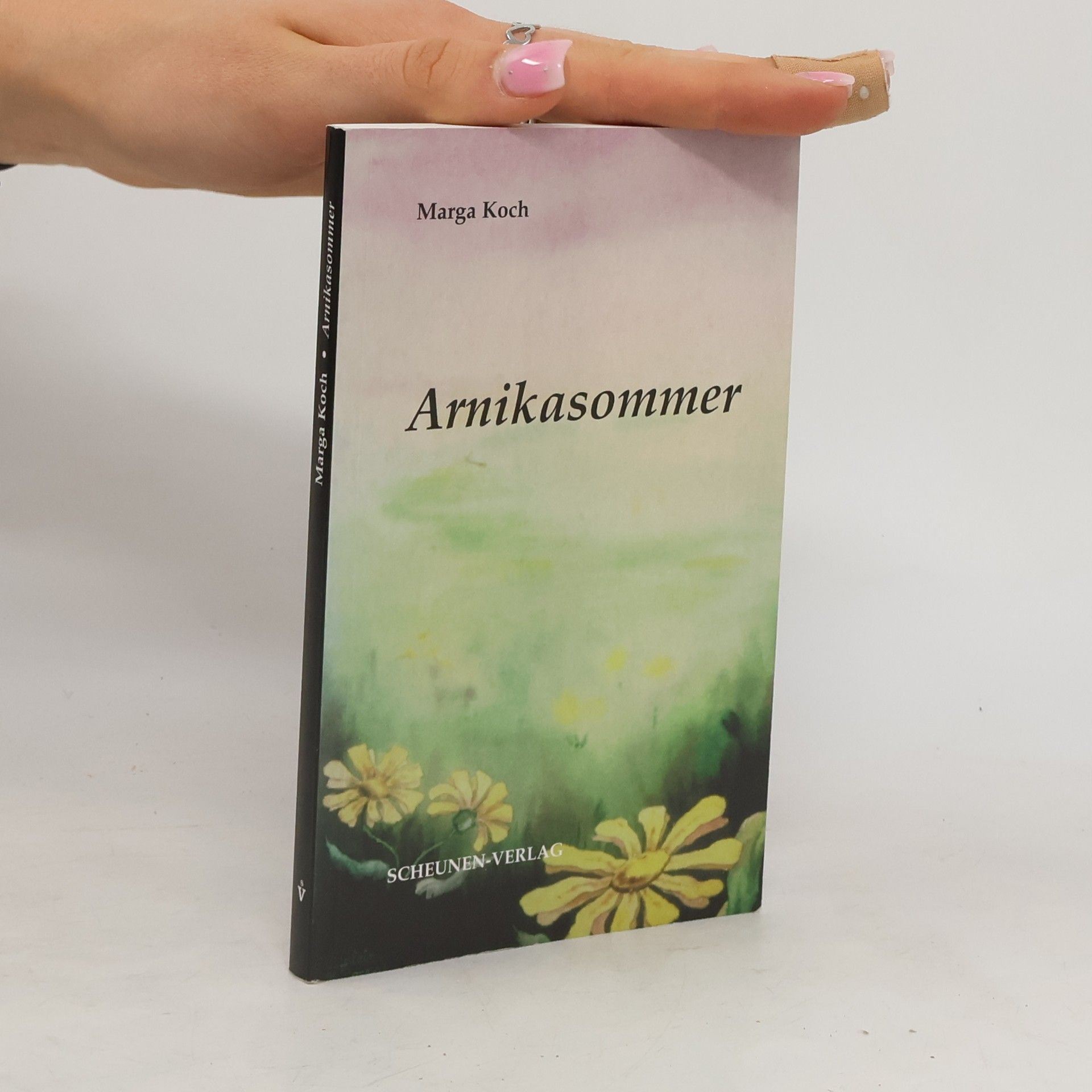 Marga Koch Arnikasommer