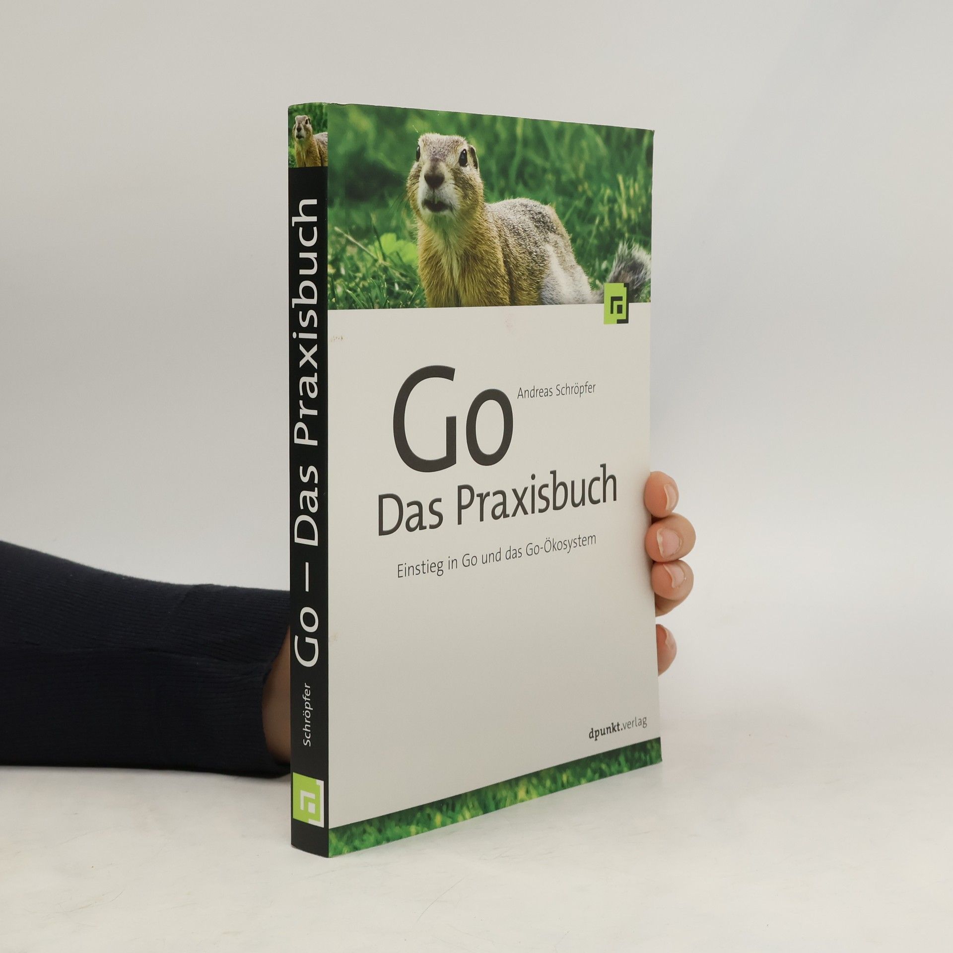 Andreas Schröpfer Go - Das Praxisbuch