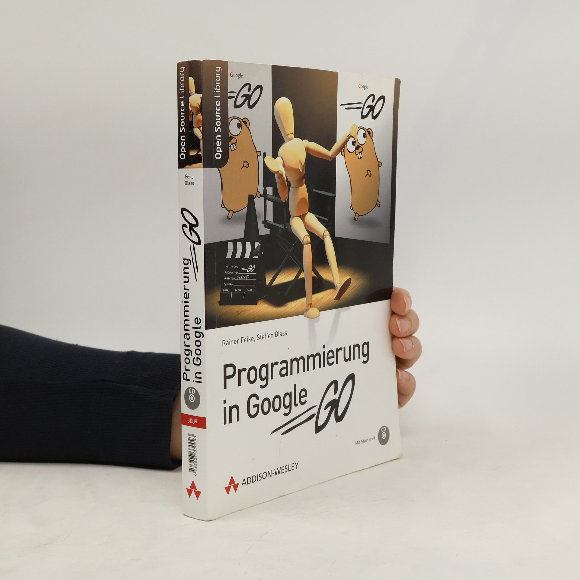 Rainer Feike Programmierung in Google Go
