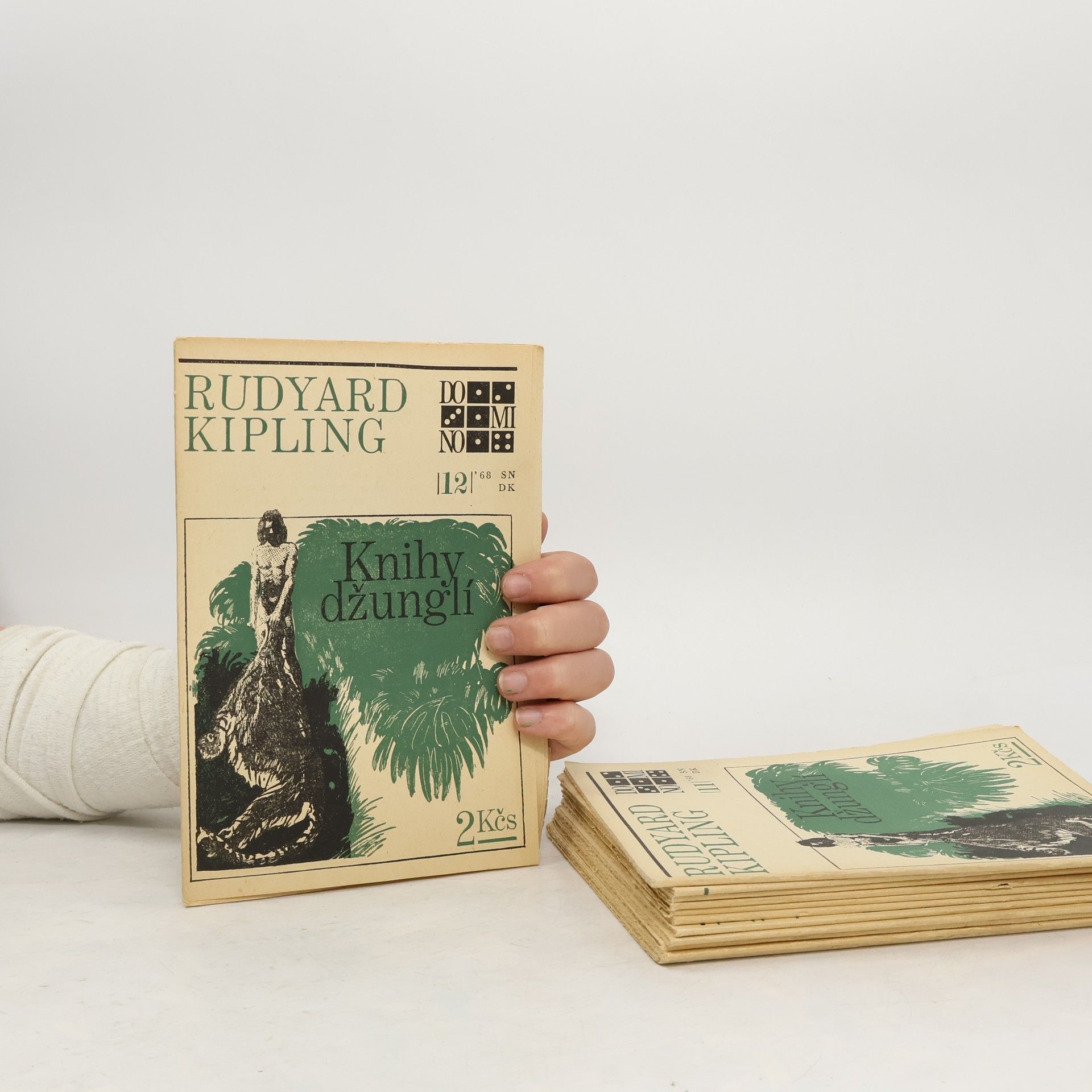 Rudyard Kipling Kniha džunglí. Sešit 1.-12.