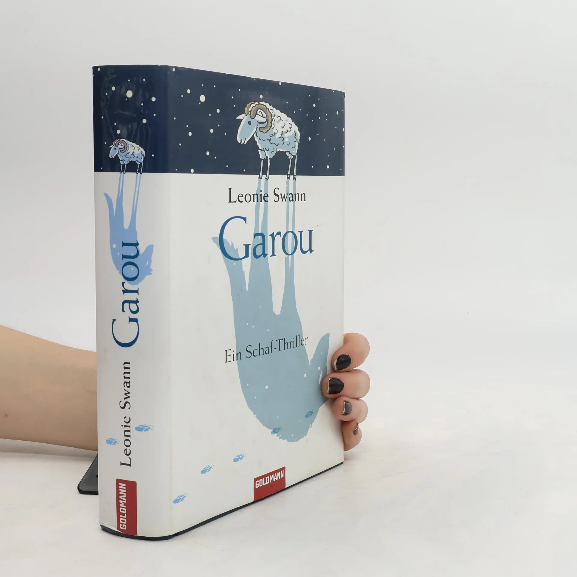 Garou | Buch | Hardcover | Leonie Swann