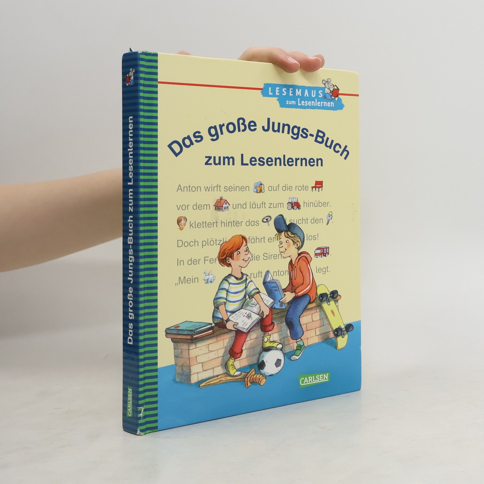 Christa Holtei Das große Jungs-Buch zum Lesenlernen
