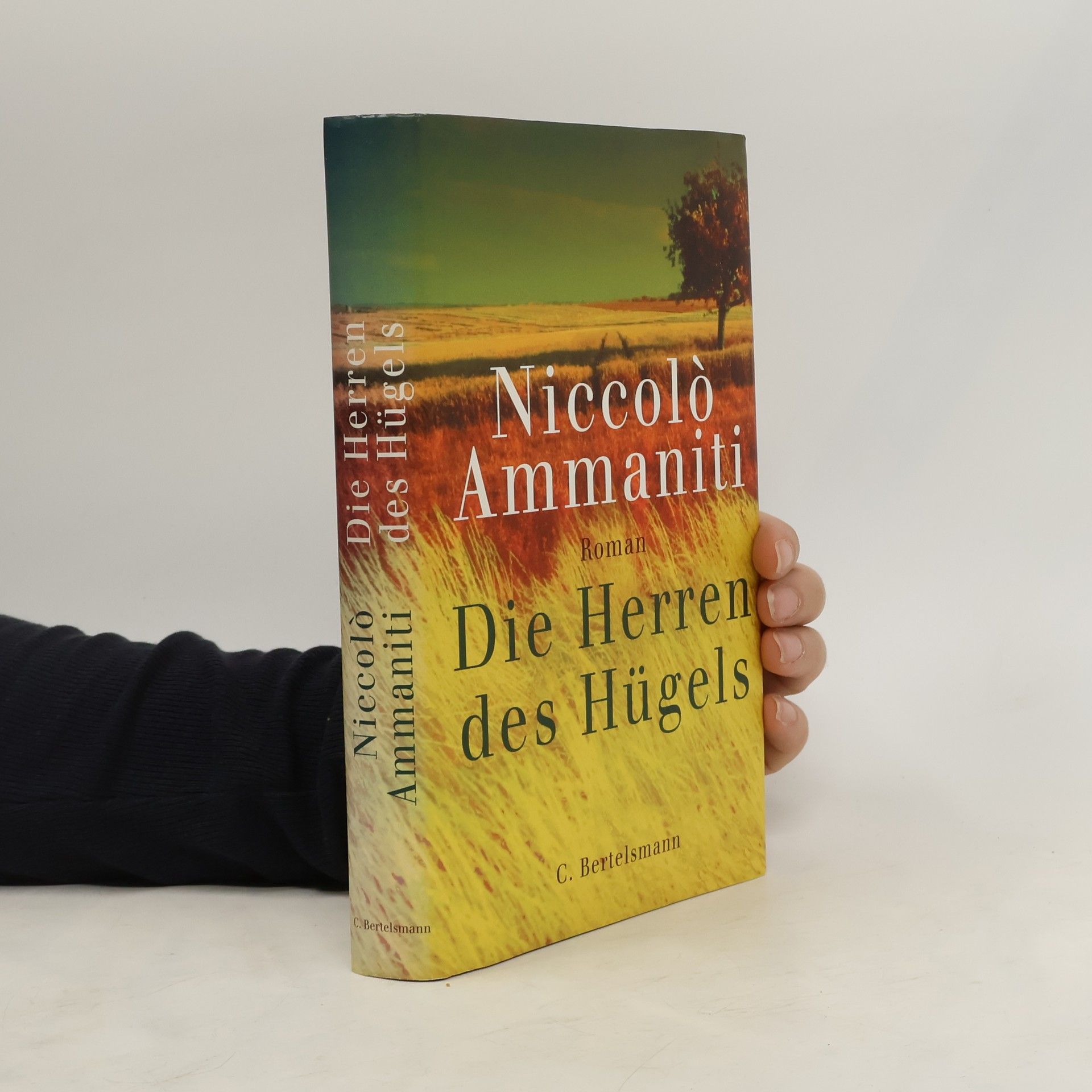 Niccolo Ammaniti Die Herren des Hügels