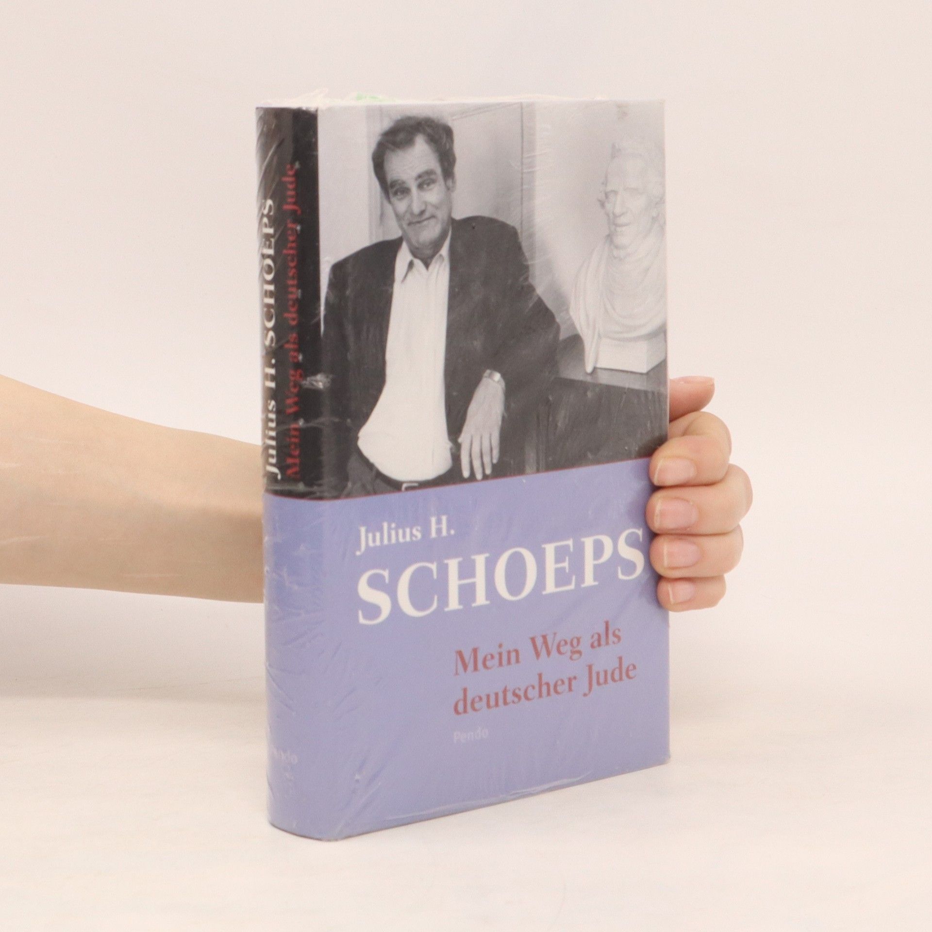 Julius H. Schoeps Mein Weg als deutscher Jude