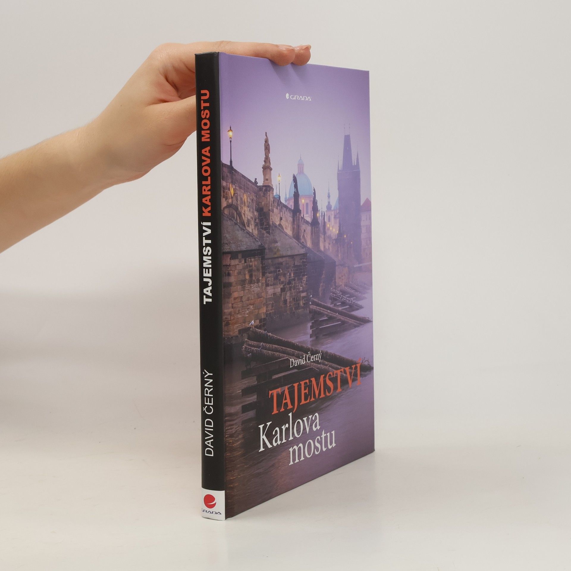 David Černý Tajemství Karlova mostu