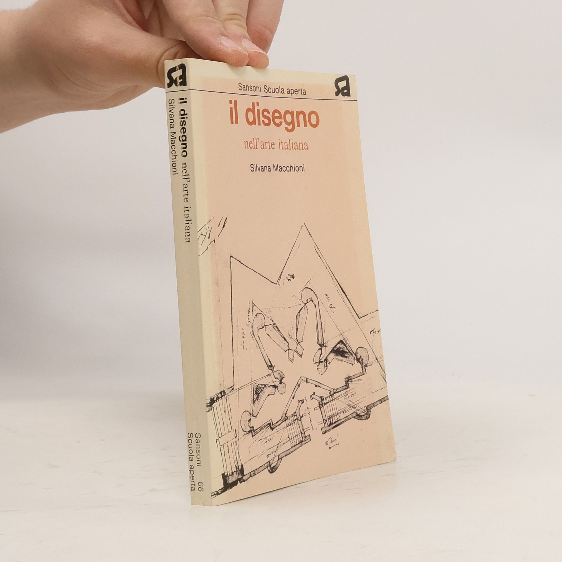 Silvana Macchioni Il disegno