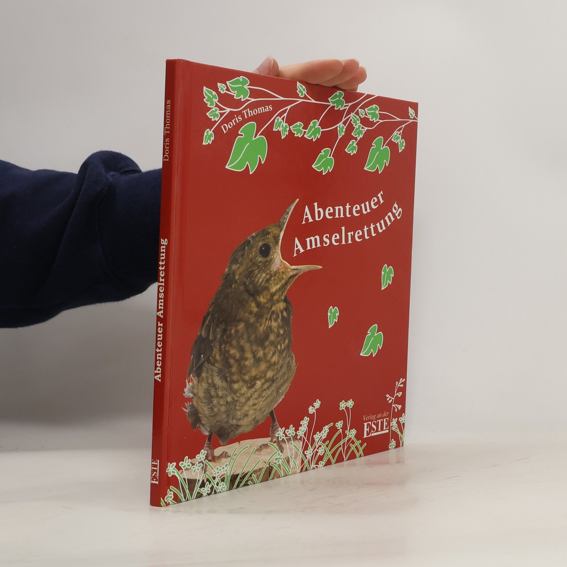 Doris Thomas Abenteuer Amselrettung