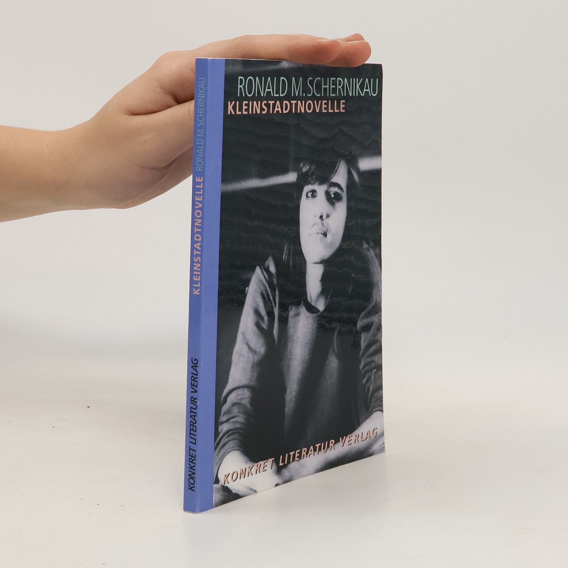 Ronald M. Schernikau Kleinstadtnovelle