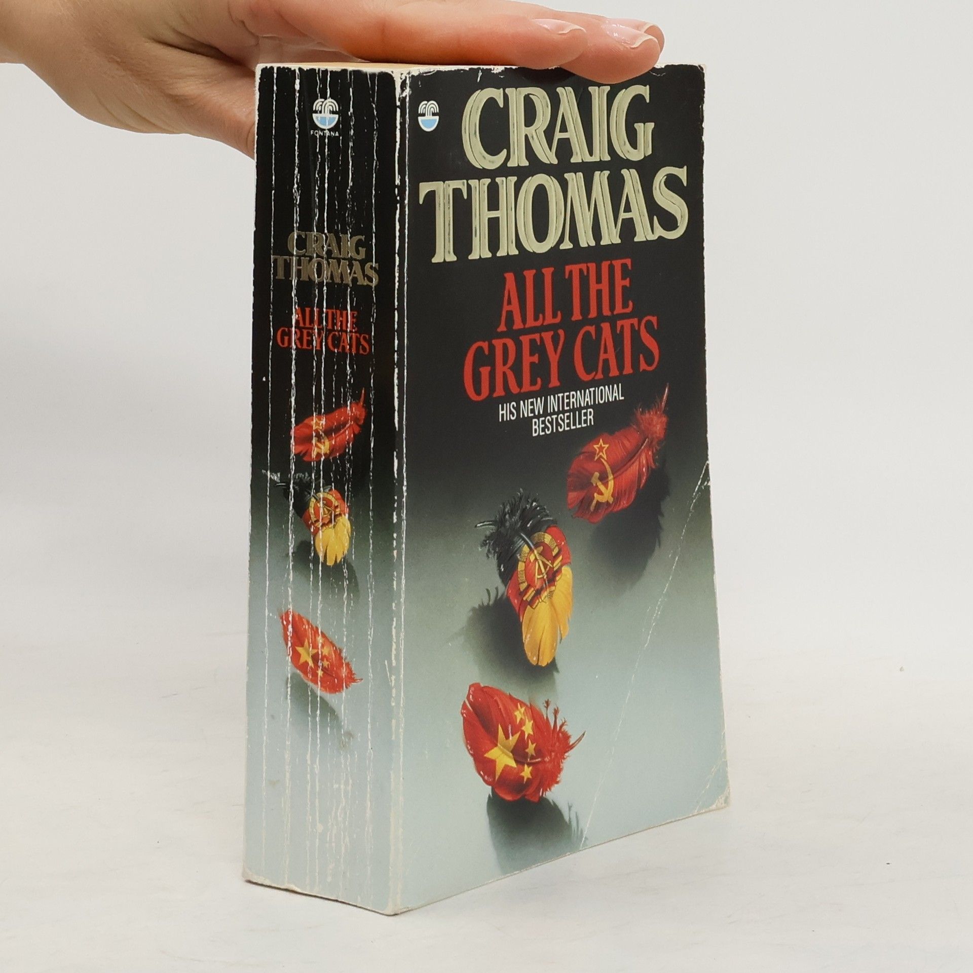 Craig Thomas All the Grey Cats