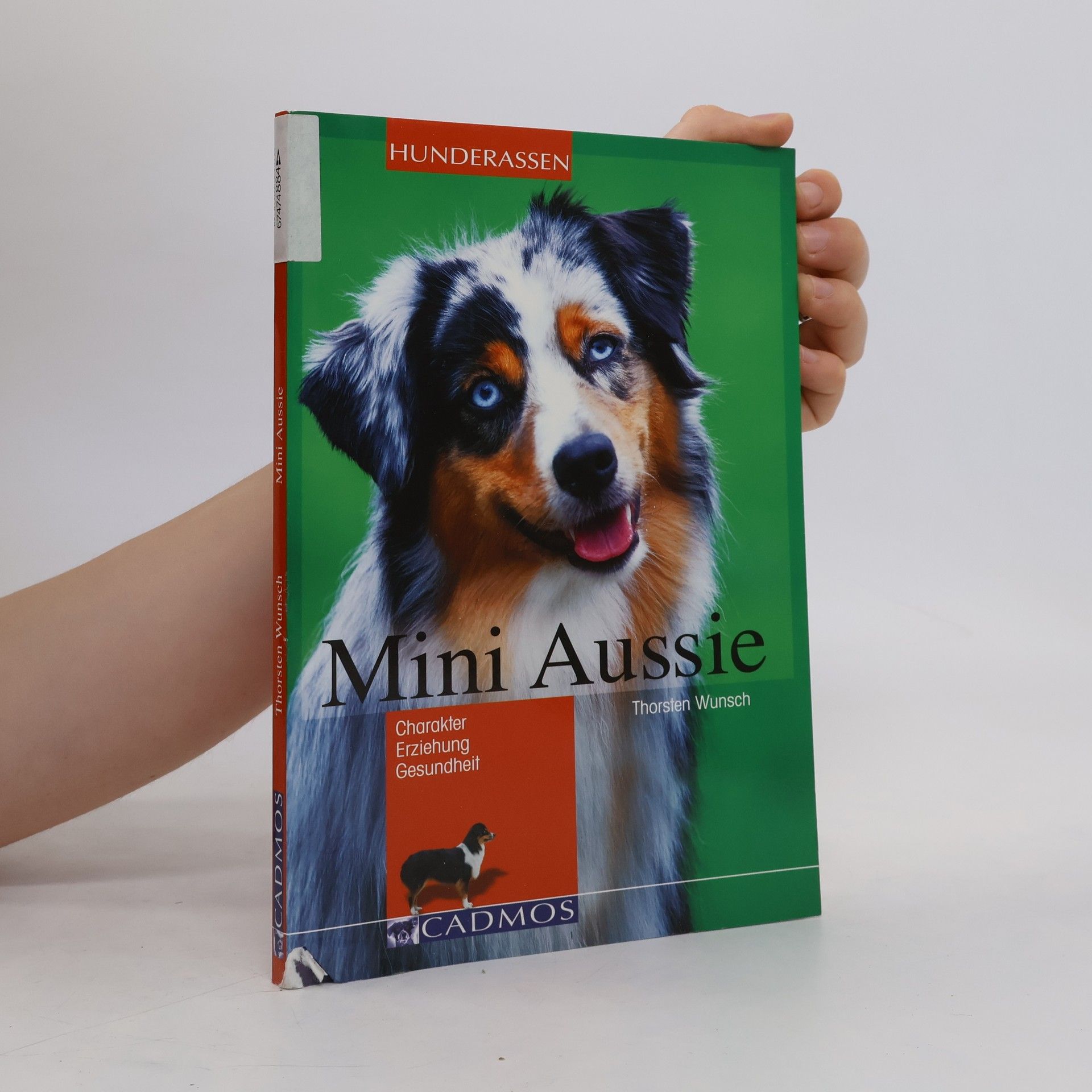 Thorsten Wunsch Mini-Aussie