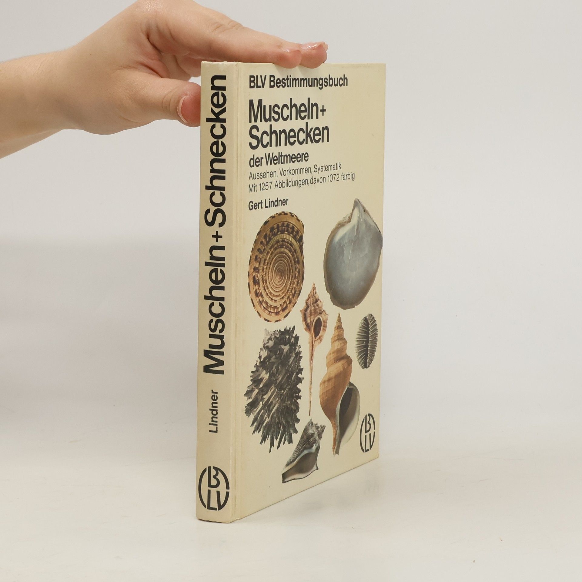 Gert Lindner Muscheln + [und] Schnecken der Weltmeere