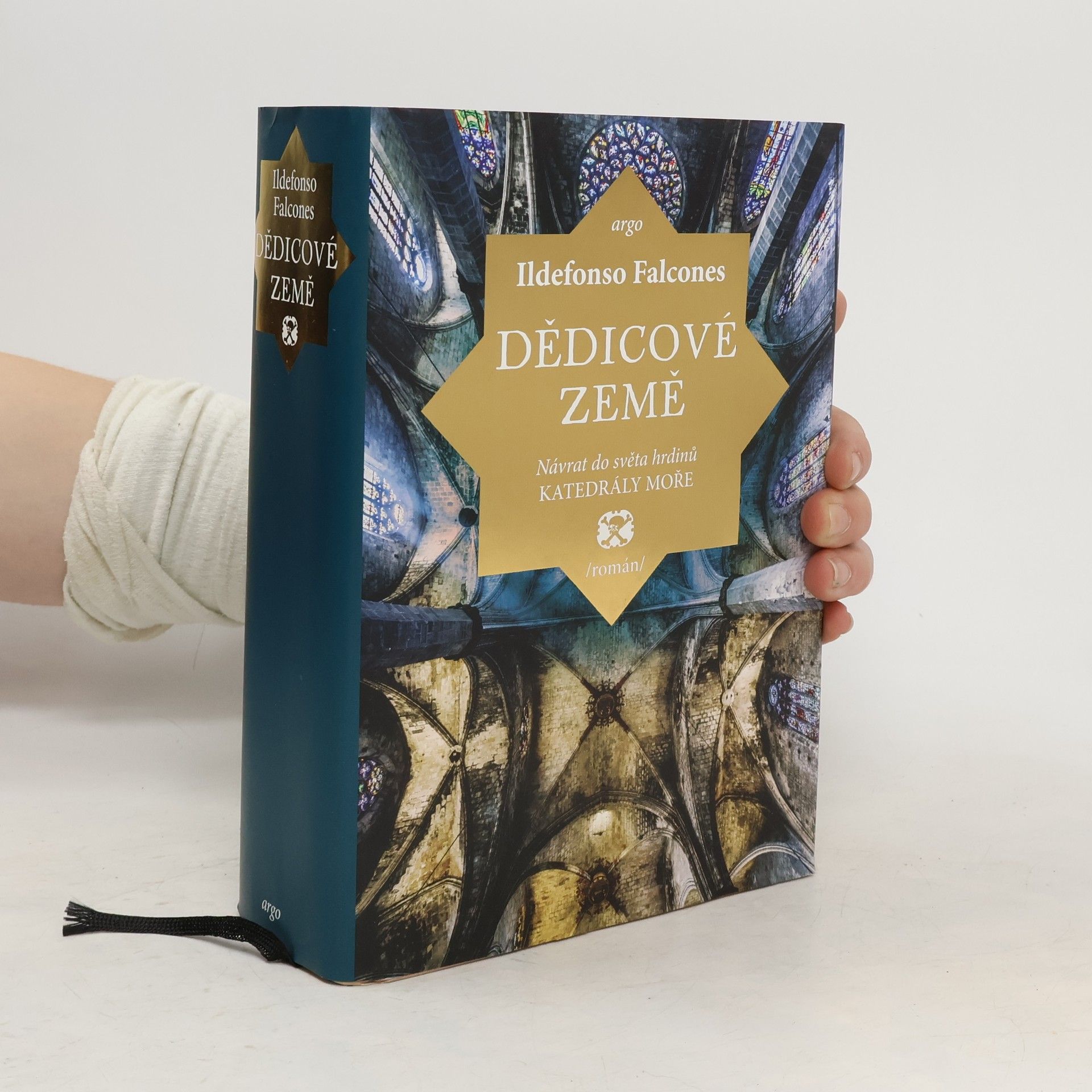 Ildefonso Falcones Dědicové země
