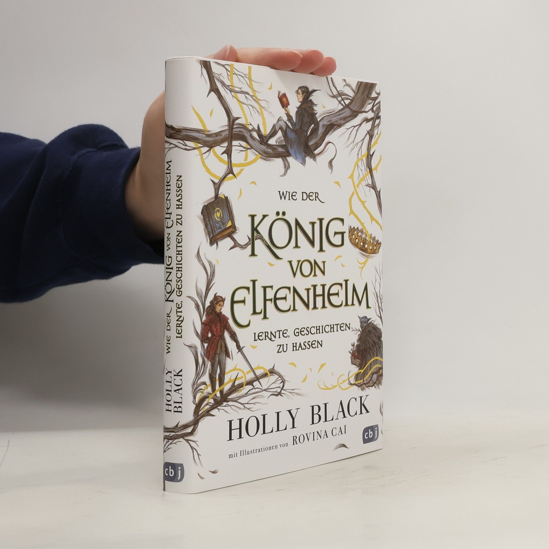 Holly Black Wie der König von Elfenheim lernte, Geschichten zu hassen