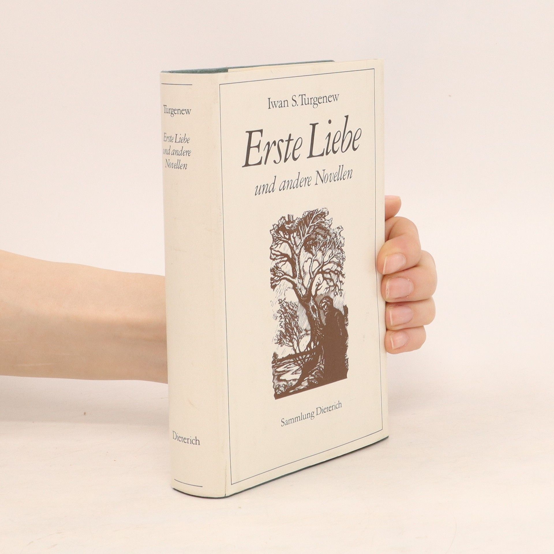 Iwan S. Turgenew Erste Liebe und andere Novellen