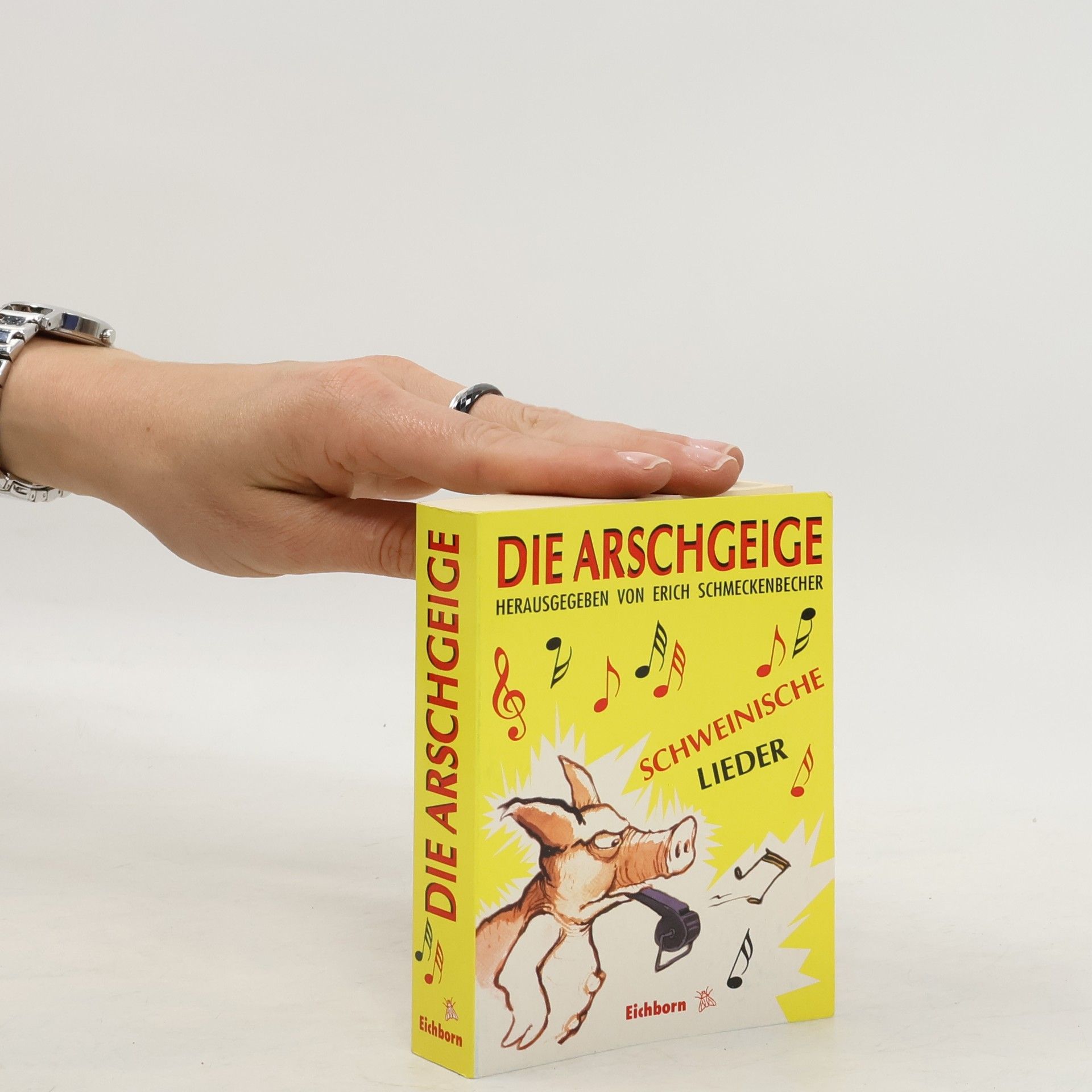 Erich Schmeckenbecher Die Arschgeige