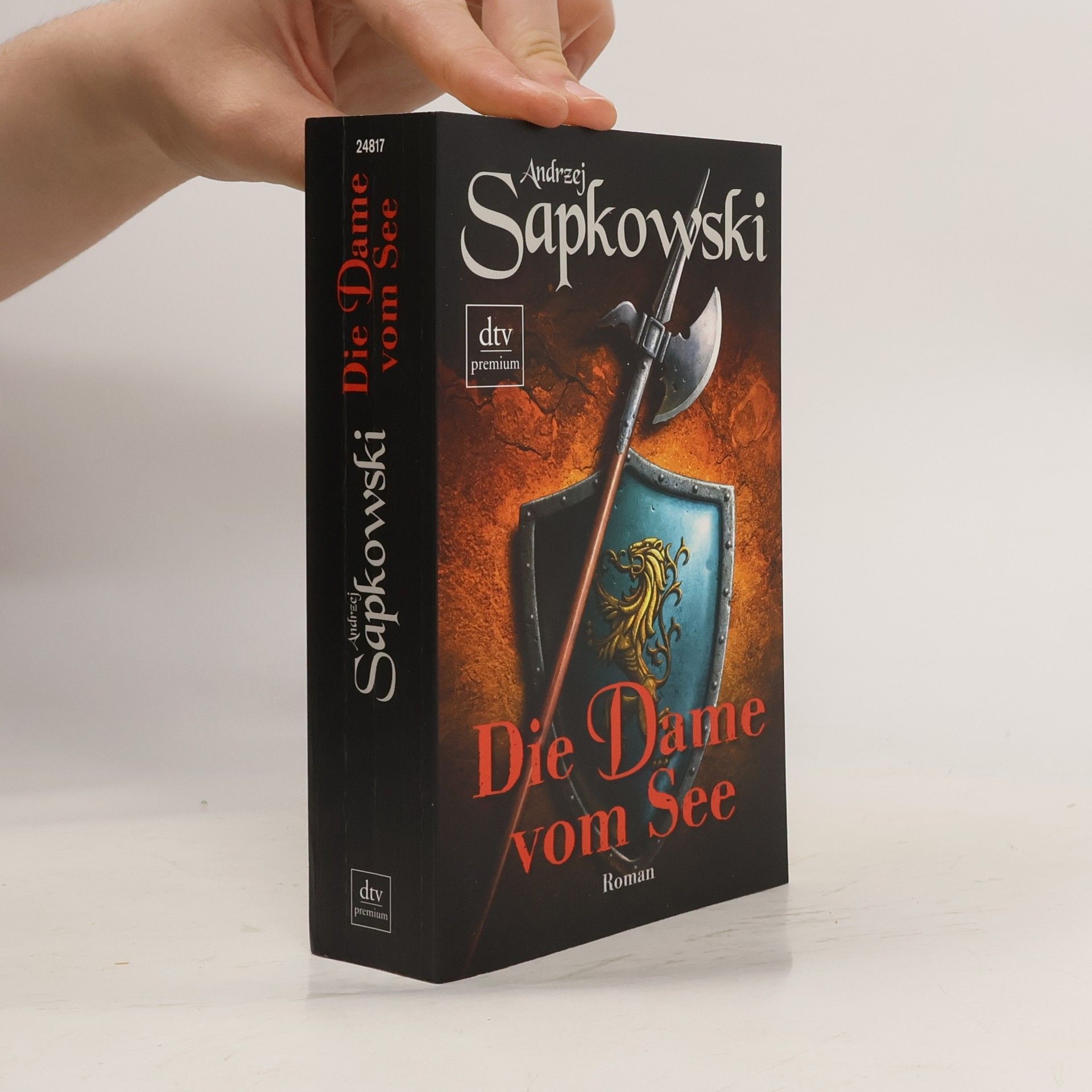 Andrzej Sapkowski Die Dame vom See