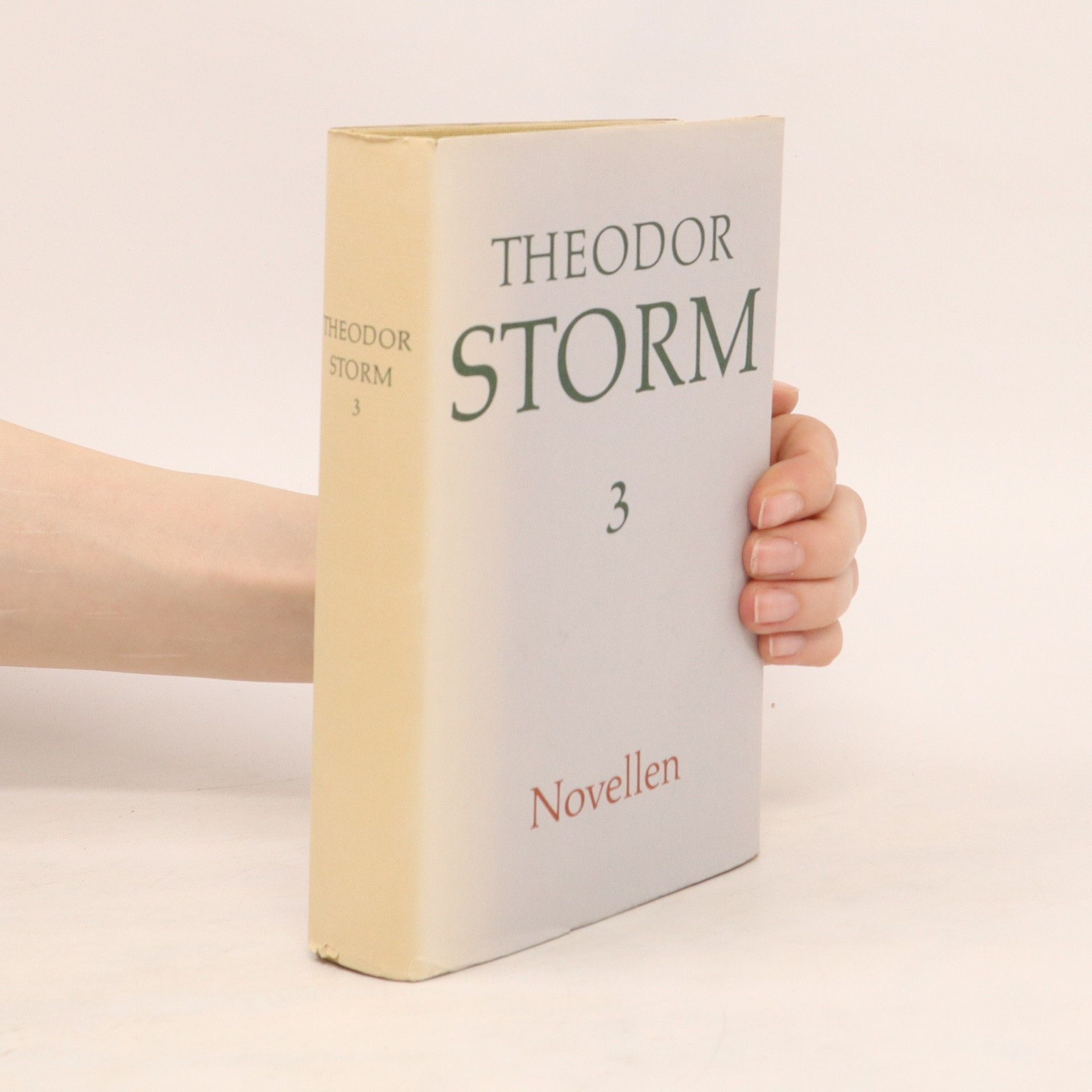 Hans Theodor Woldsen Storm Novellen 3