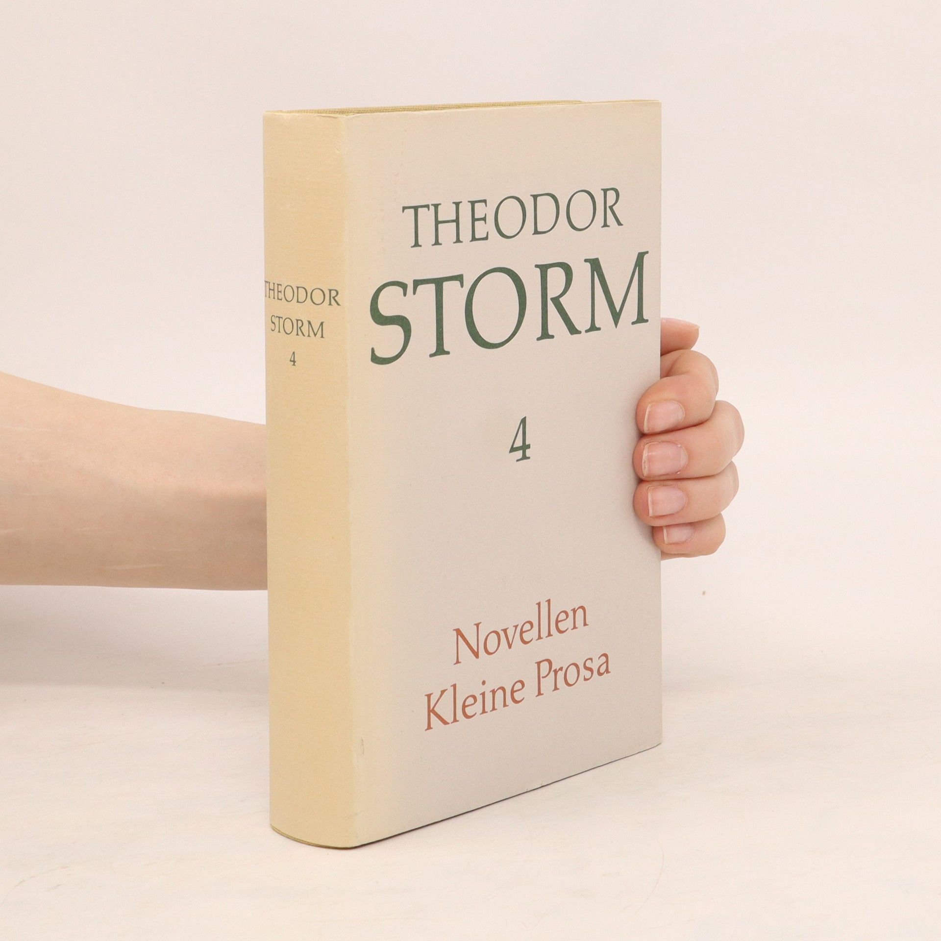 Theodor Storm Theodor Storm 4: Novellen. Kleine Prosa