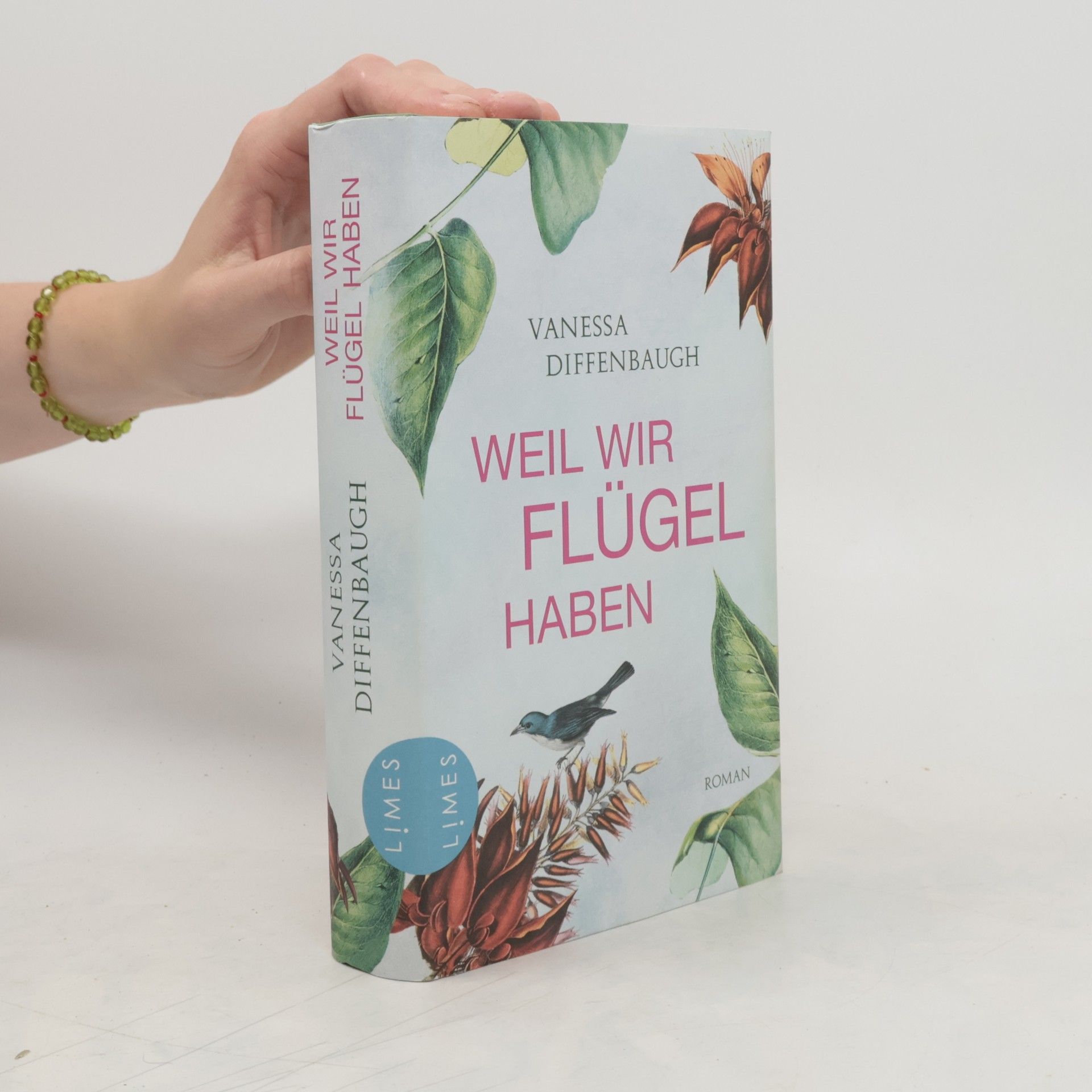 Vanessa Diffenbaugh Weil wir Flügel haben